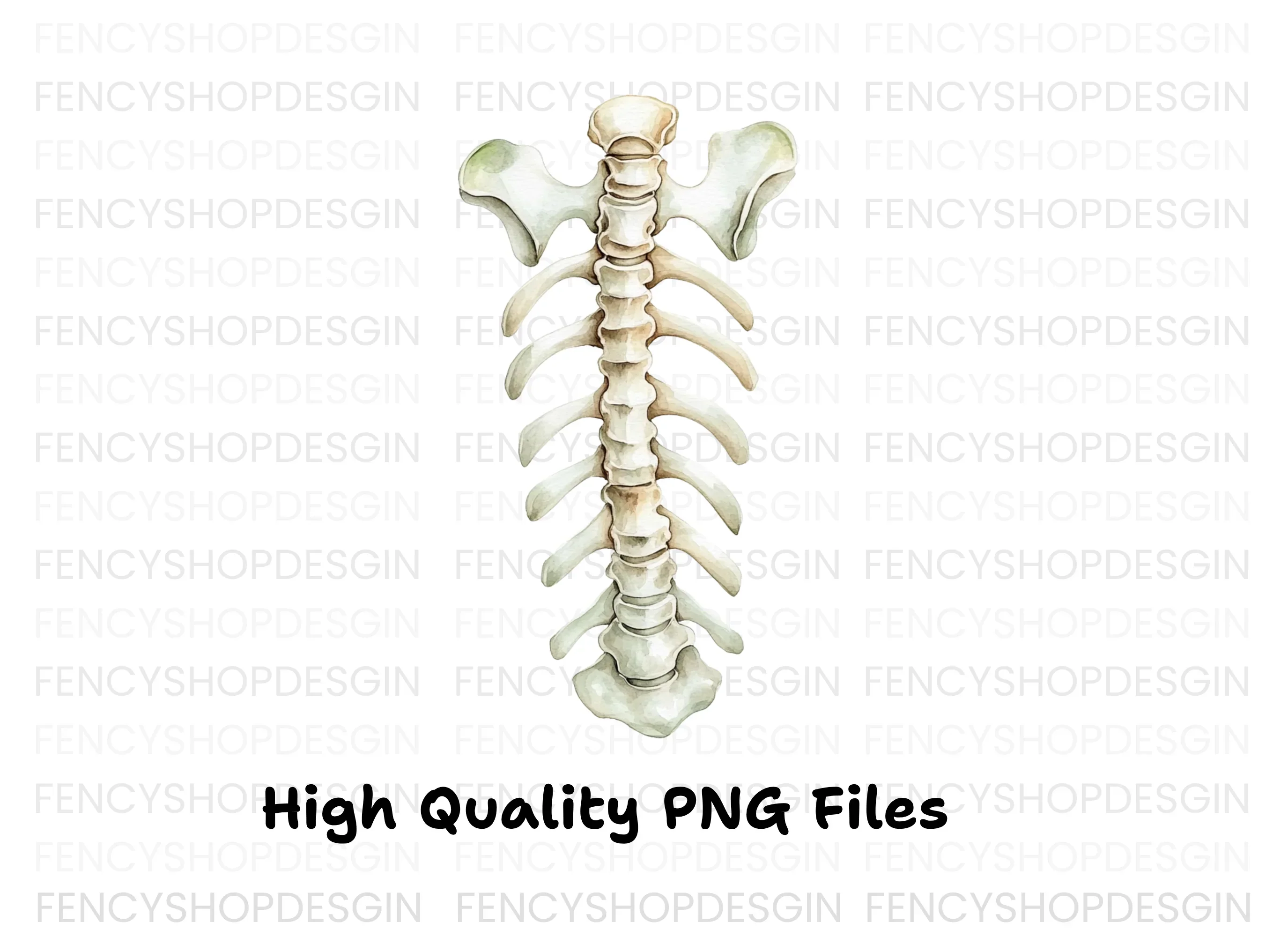 Human Spine and Ribs Clipart Bundle - Image 3