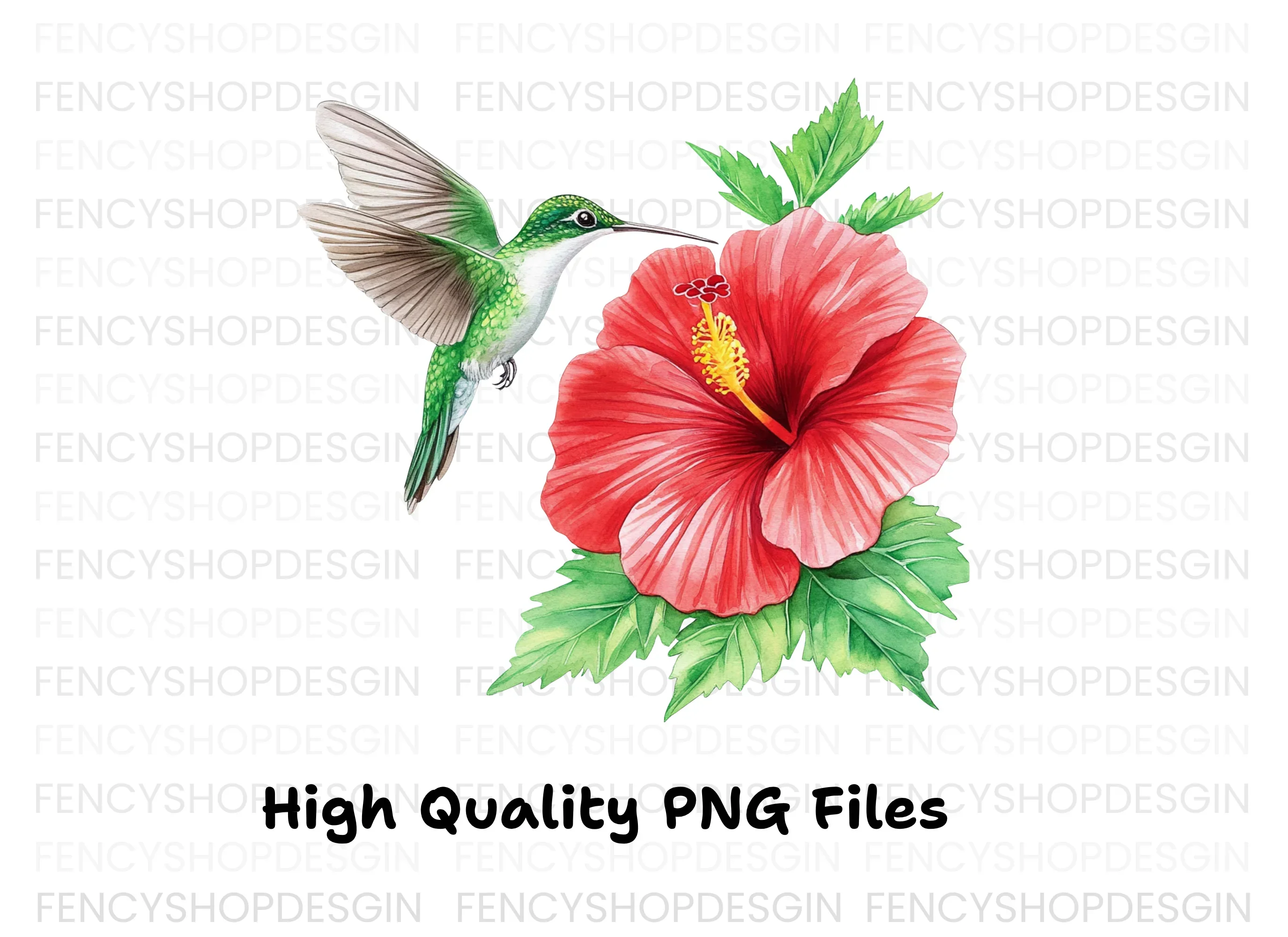 Hummingbird and Hibiscus Clipart Bundle - Image 3