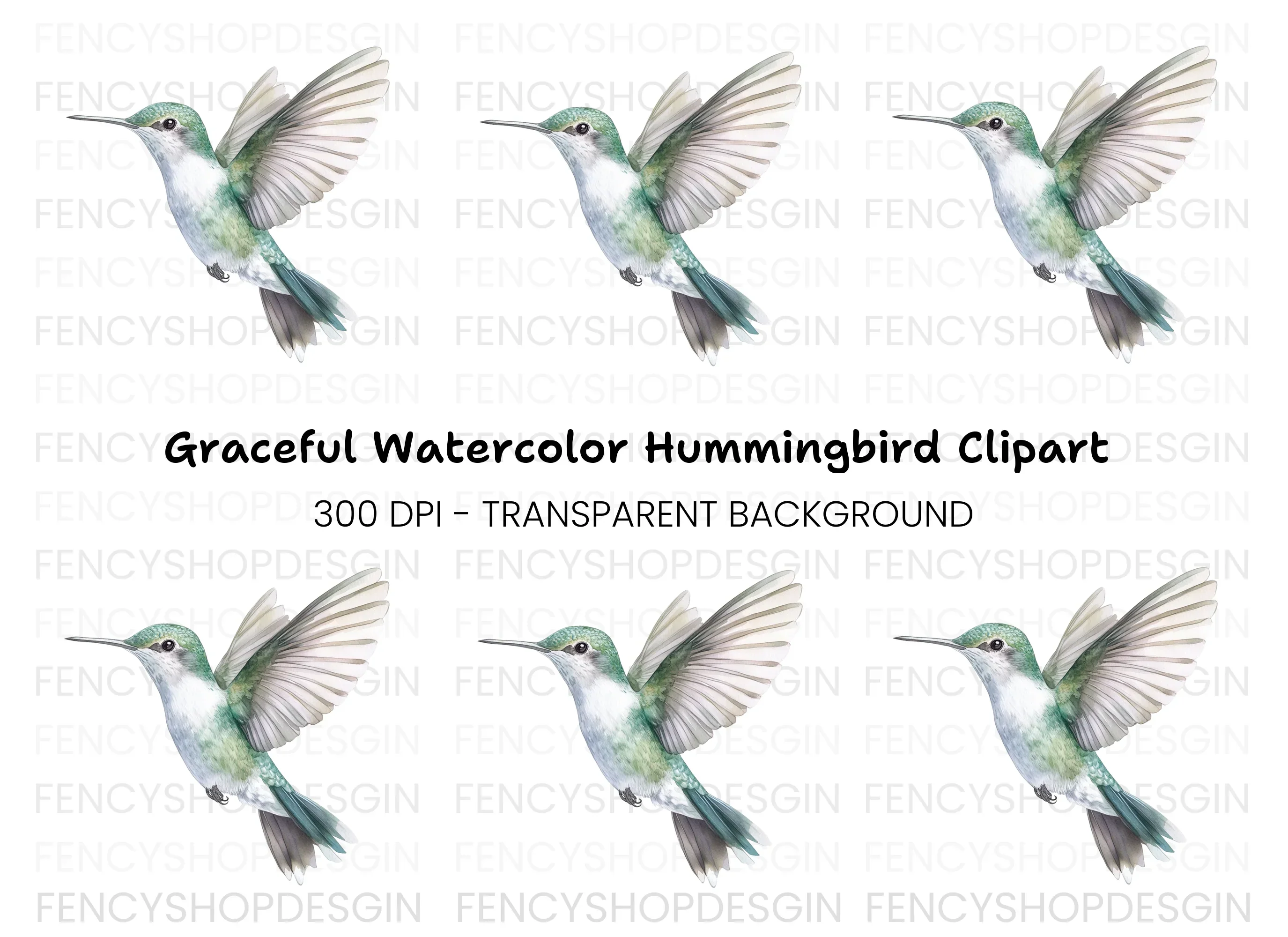 Hummingbird Clipart Bundle