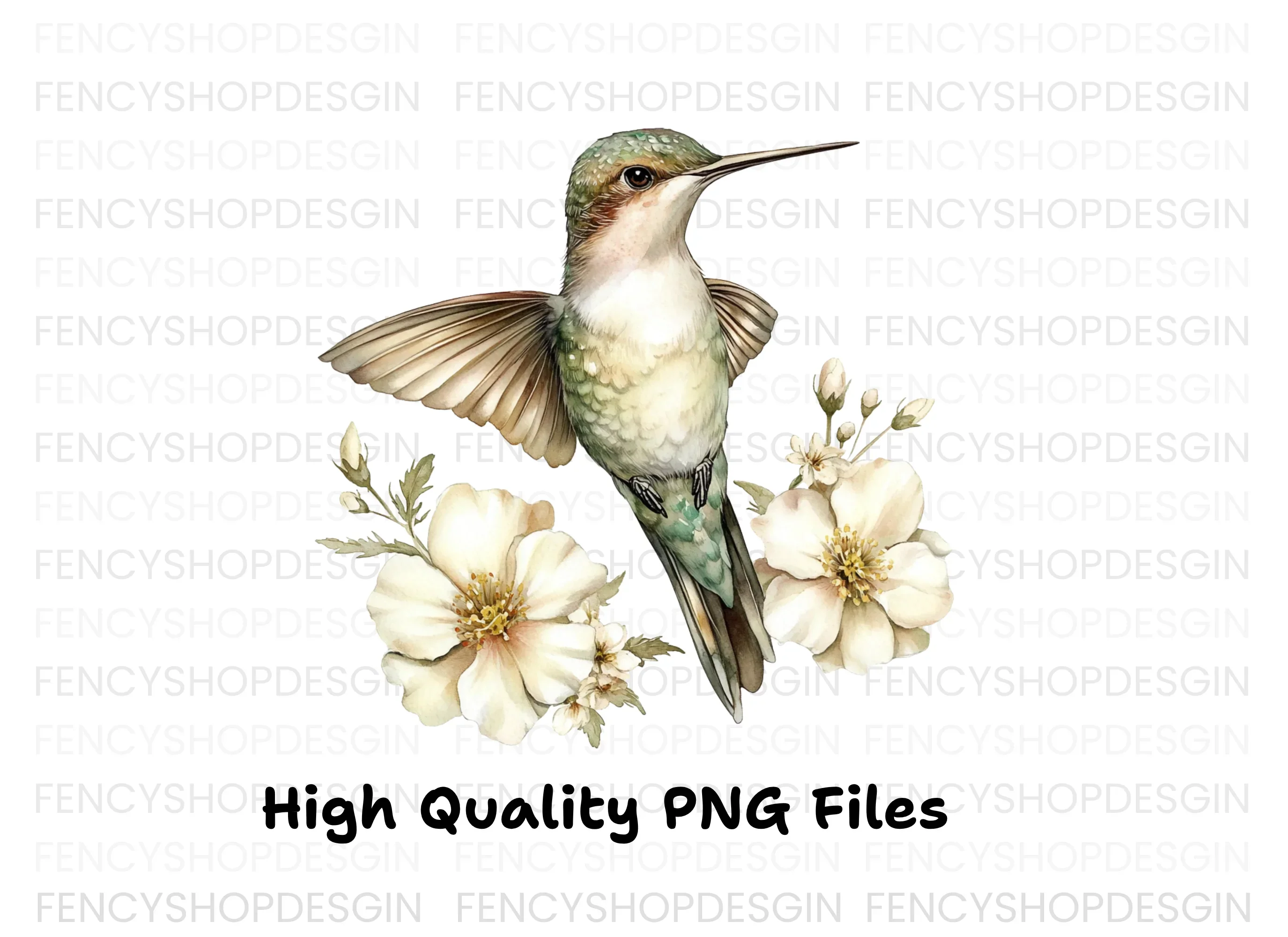 Hummingbird with White Flowers Clipart Bundle - Image 3
