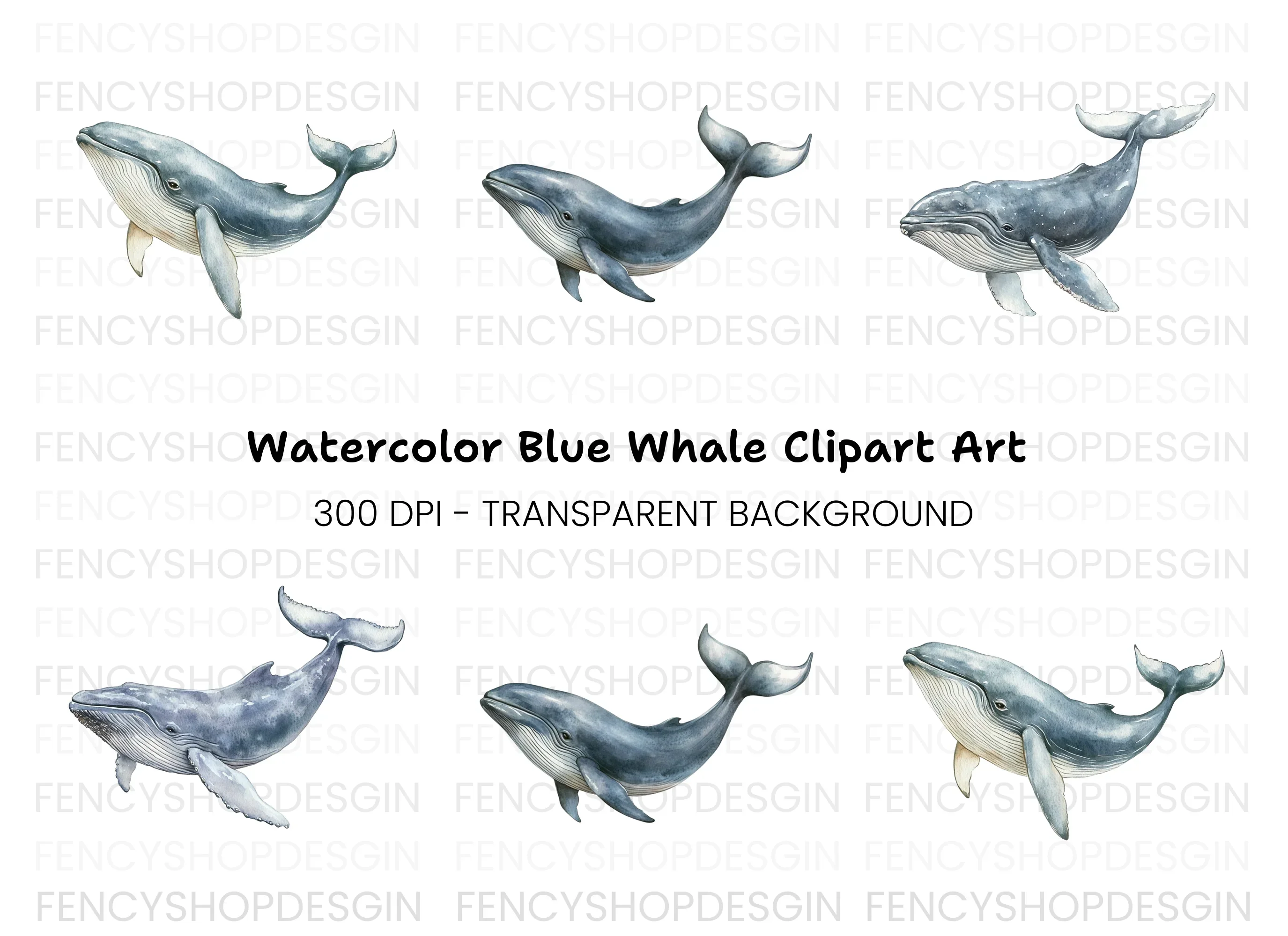 Humpback Whale Clipart Bundle