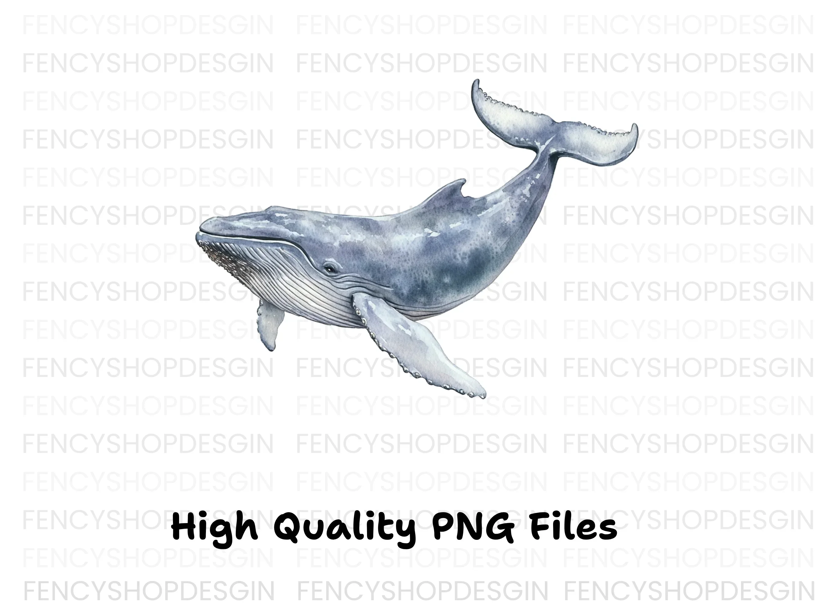 Humpback Whale Clipart Bundle - Image 3