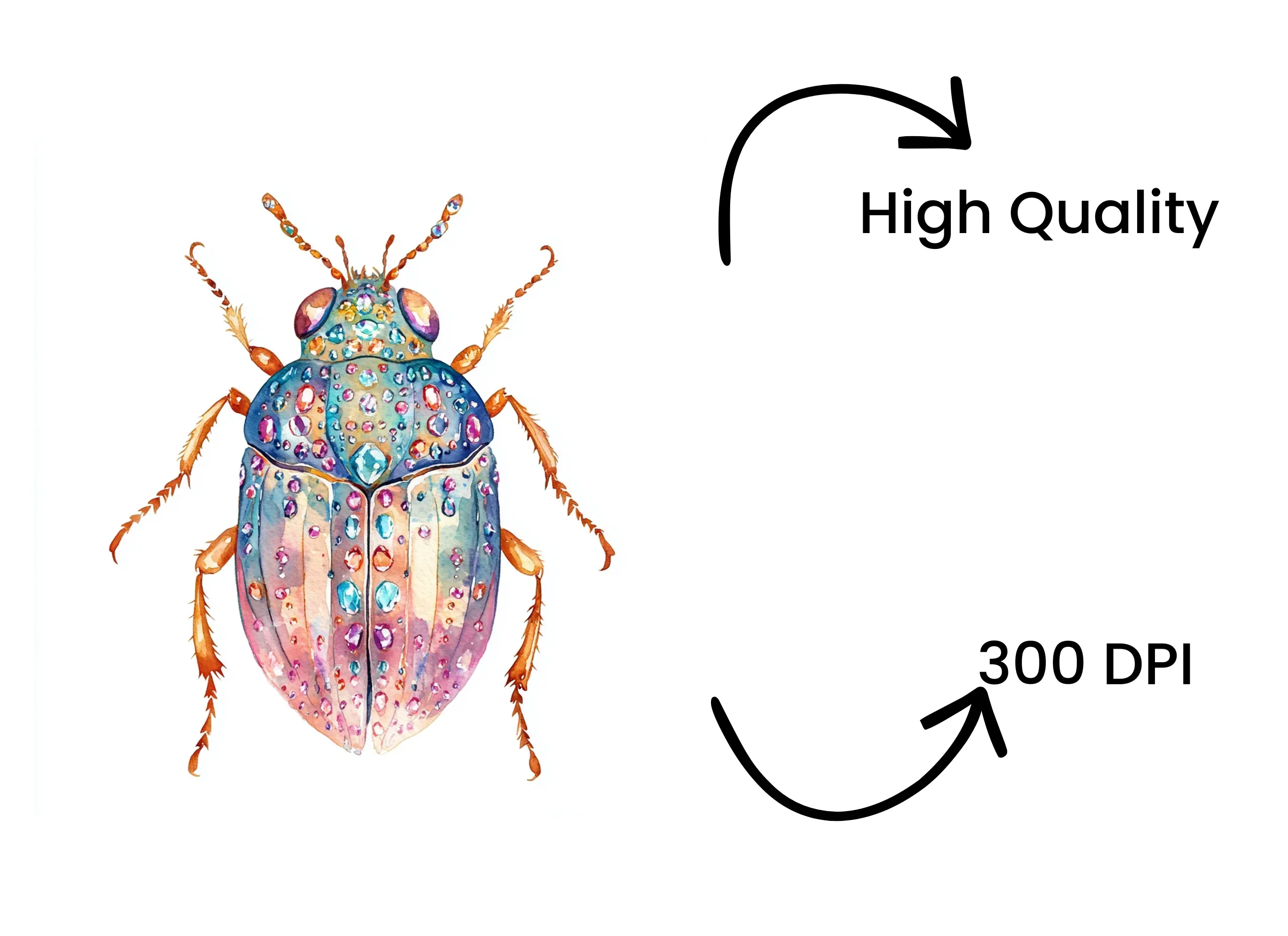 Jeweled Beetle Clipart Bundle - Image 4