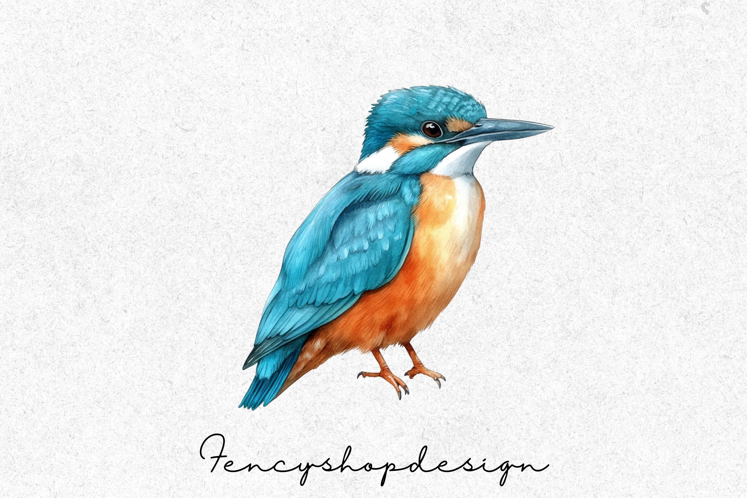 Kingfisher Birds Clipart Bundle - Image 6