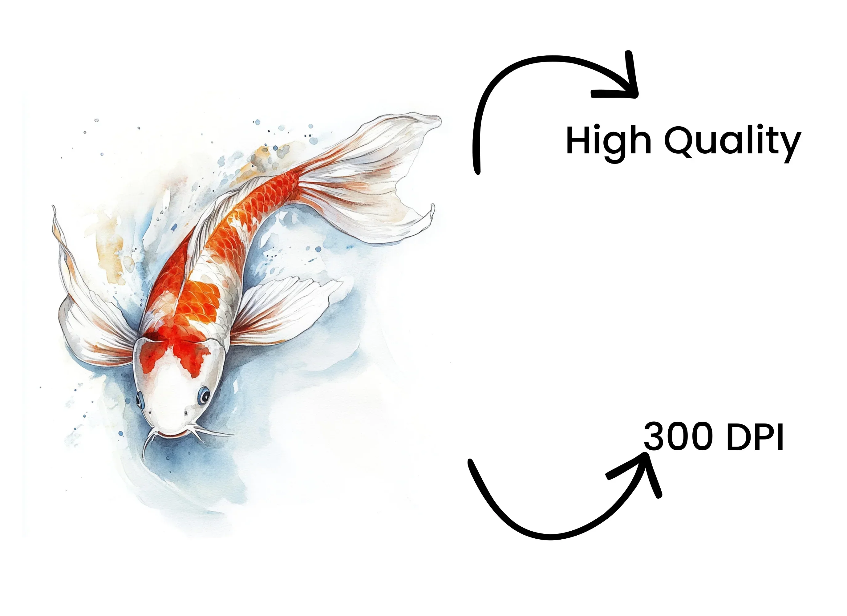 Koi Fish Clipart Bundle - Image 4