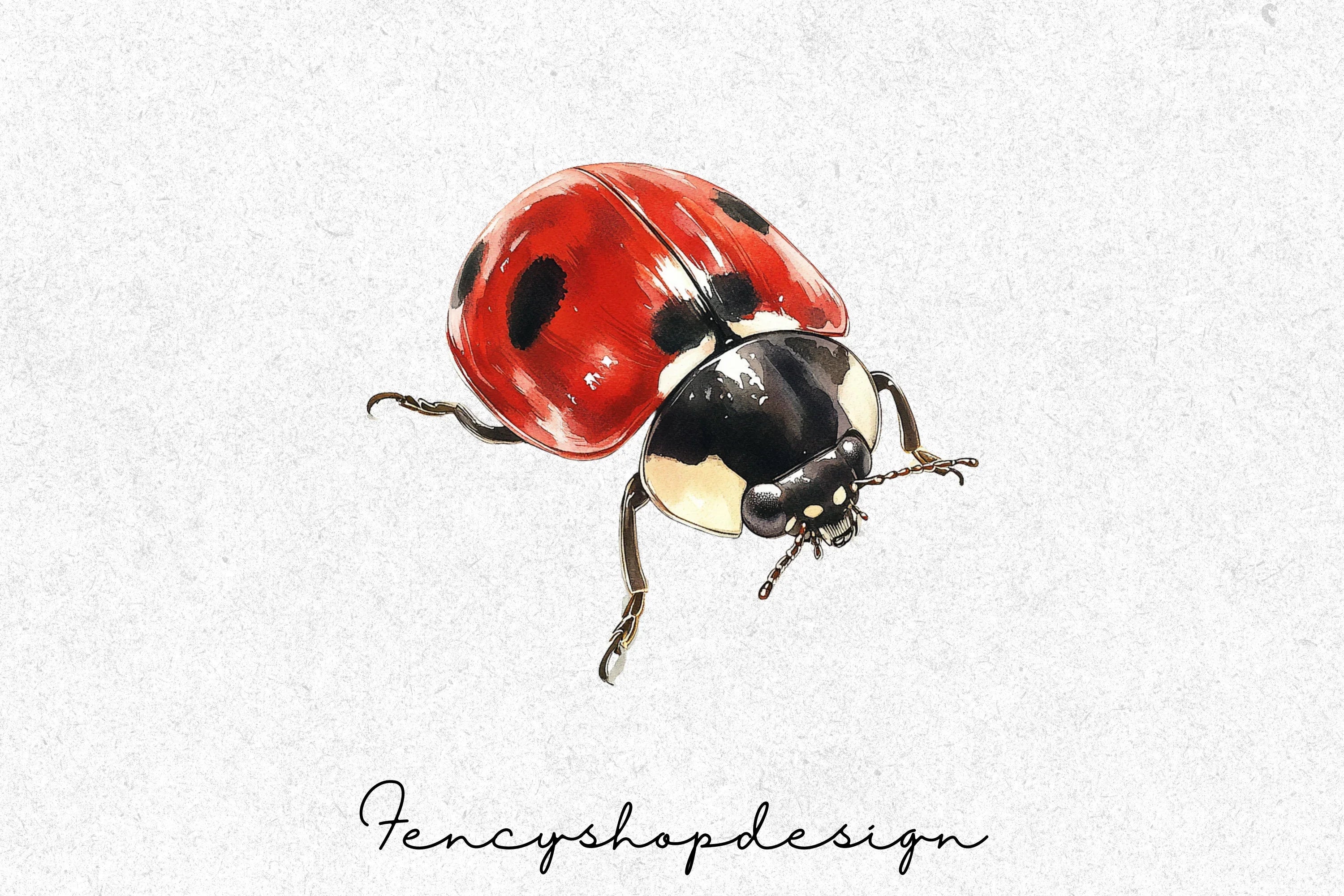 Ladybug Clipart Bundle - Image 4