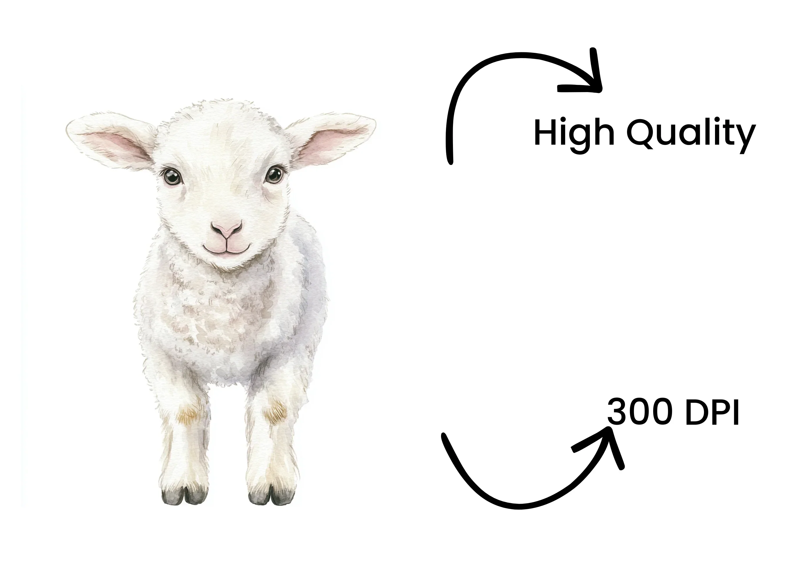 Lamb Clipart Bundle - Image 4