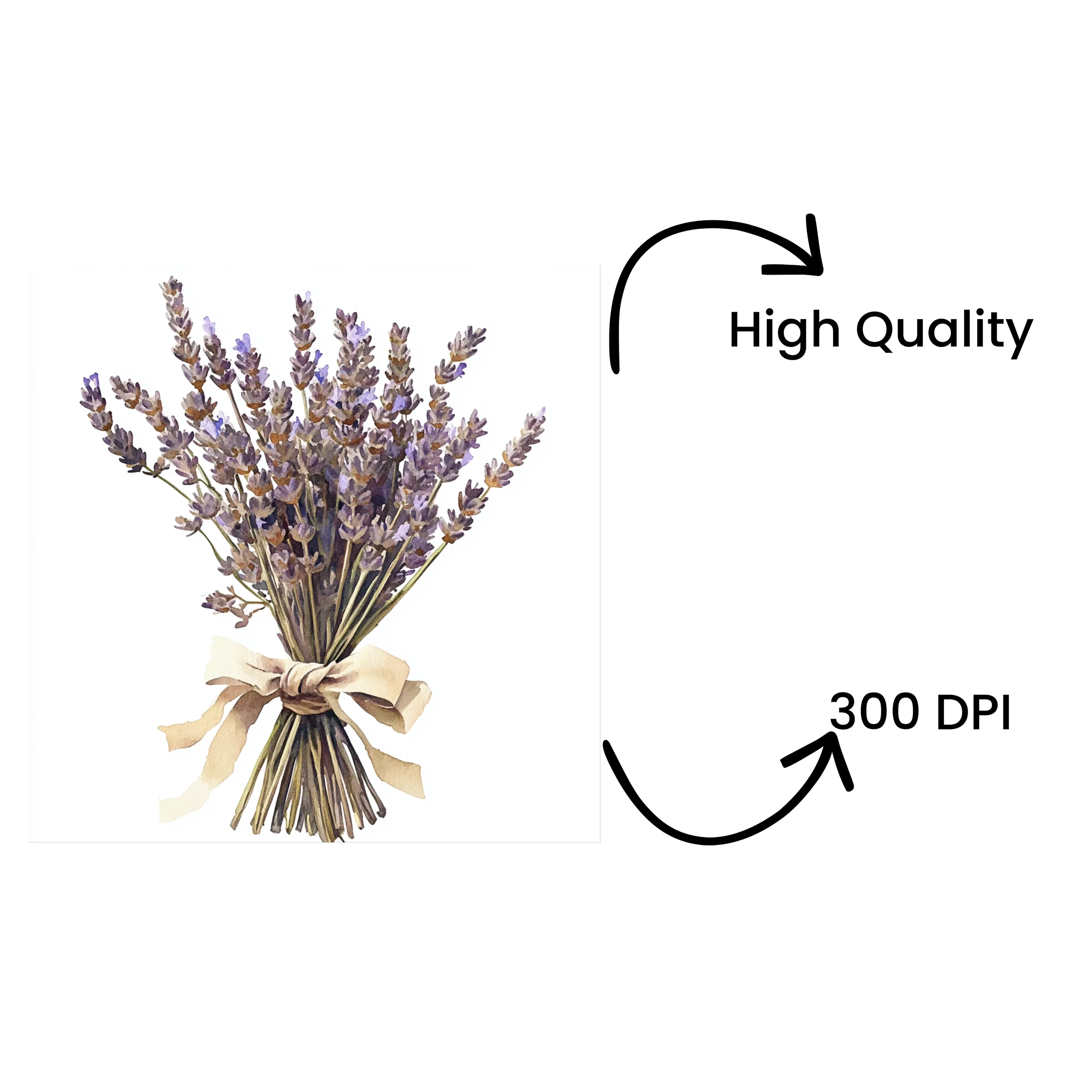 Lavender Bouquet Clipart Bundle - Image 4
