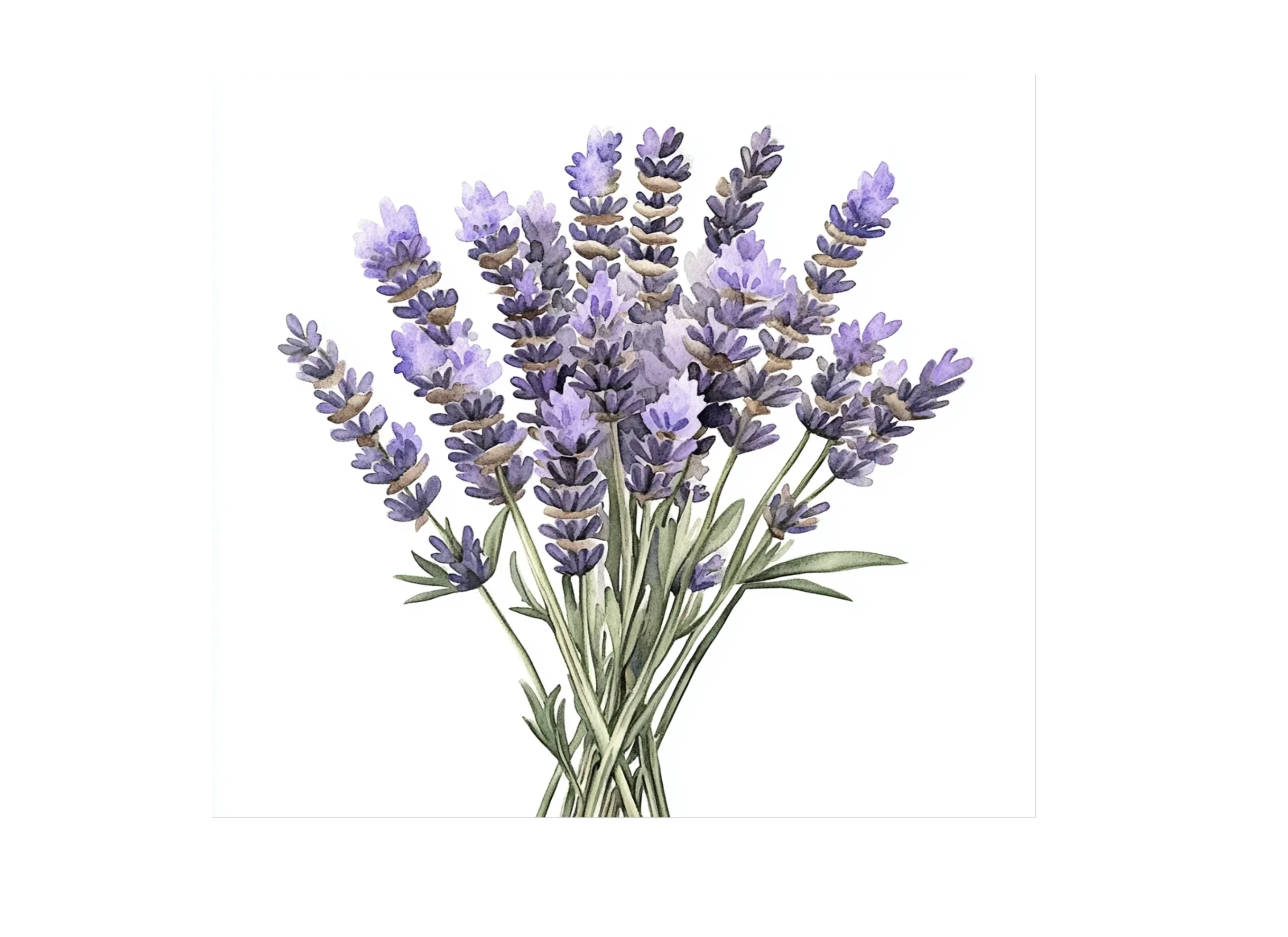 Lavender Bouquets Clipart Bundle - Image 3