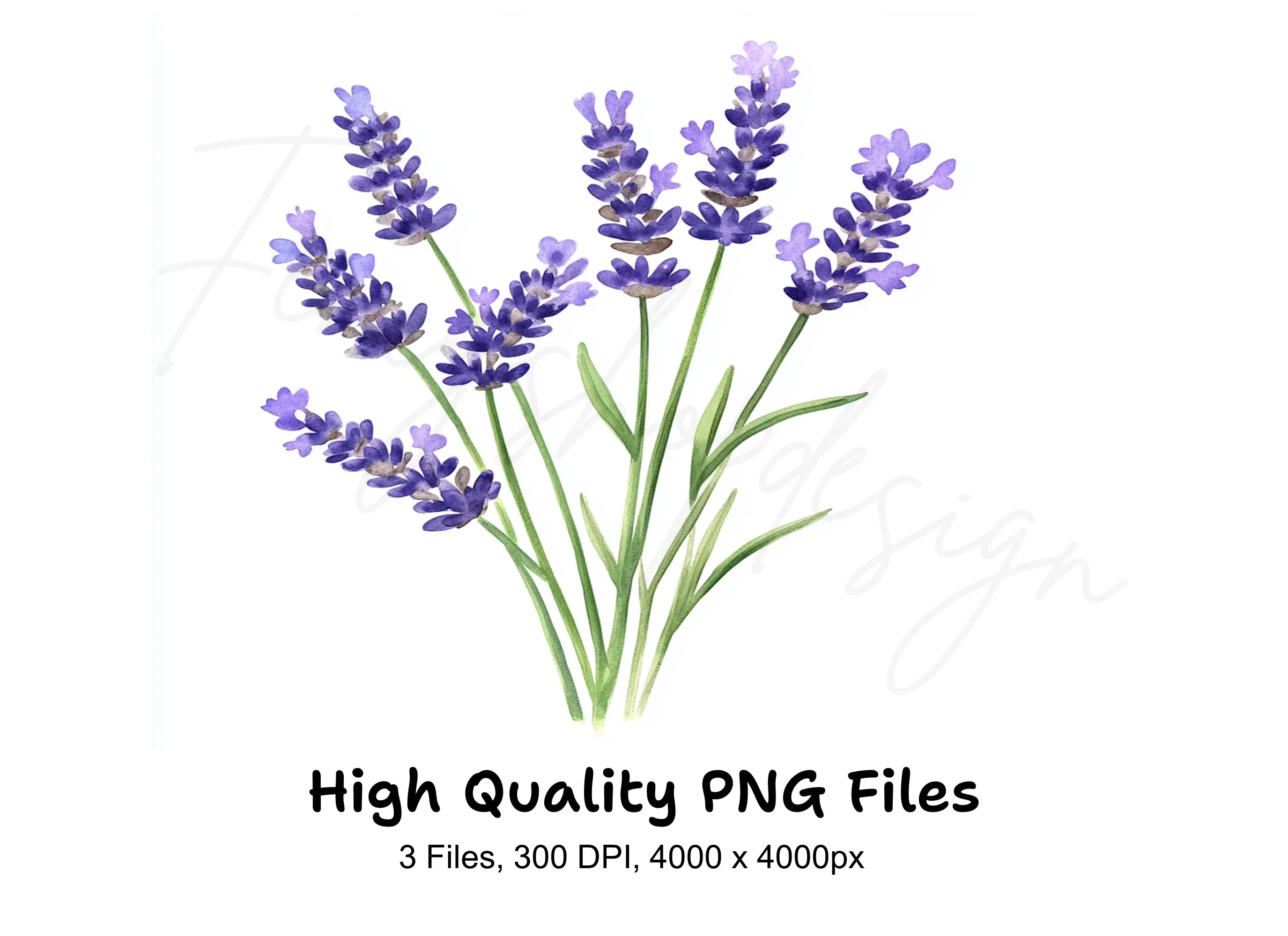 Lavender Flower Clipart Bundle