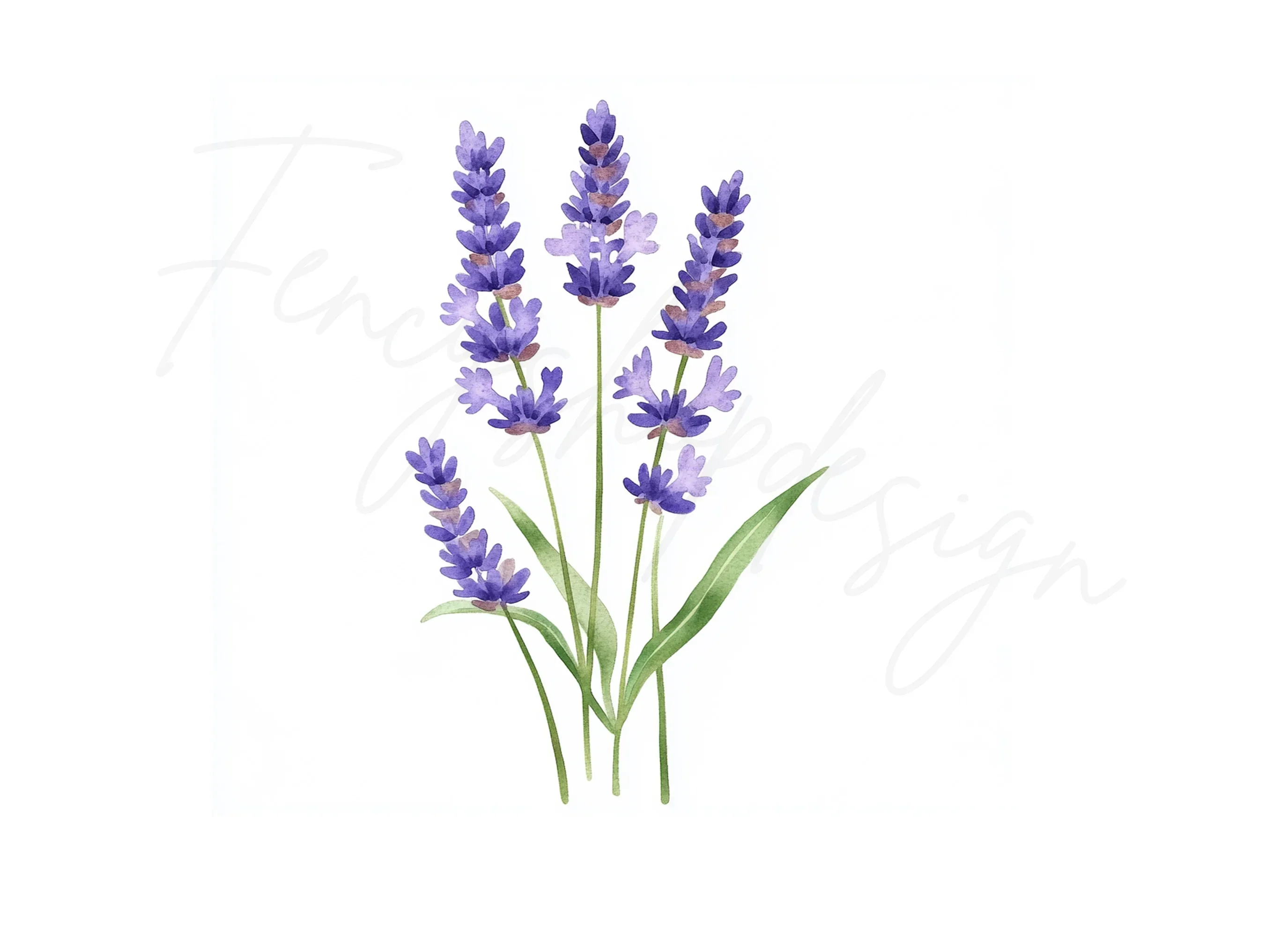 Lavender Flower Clipart Bundle - Image 3