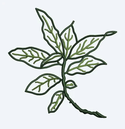 Leaf Embroidery Design