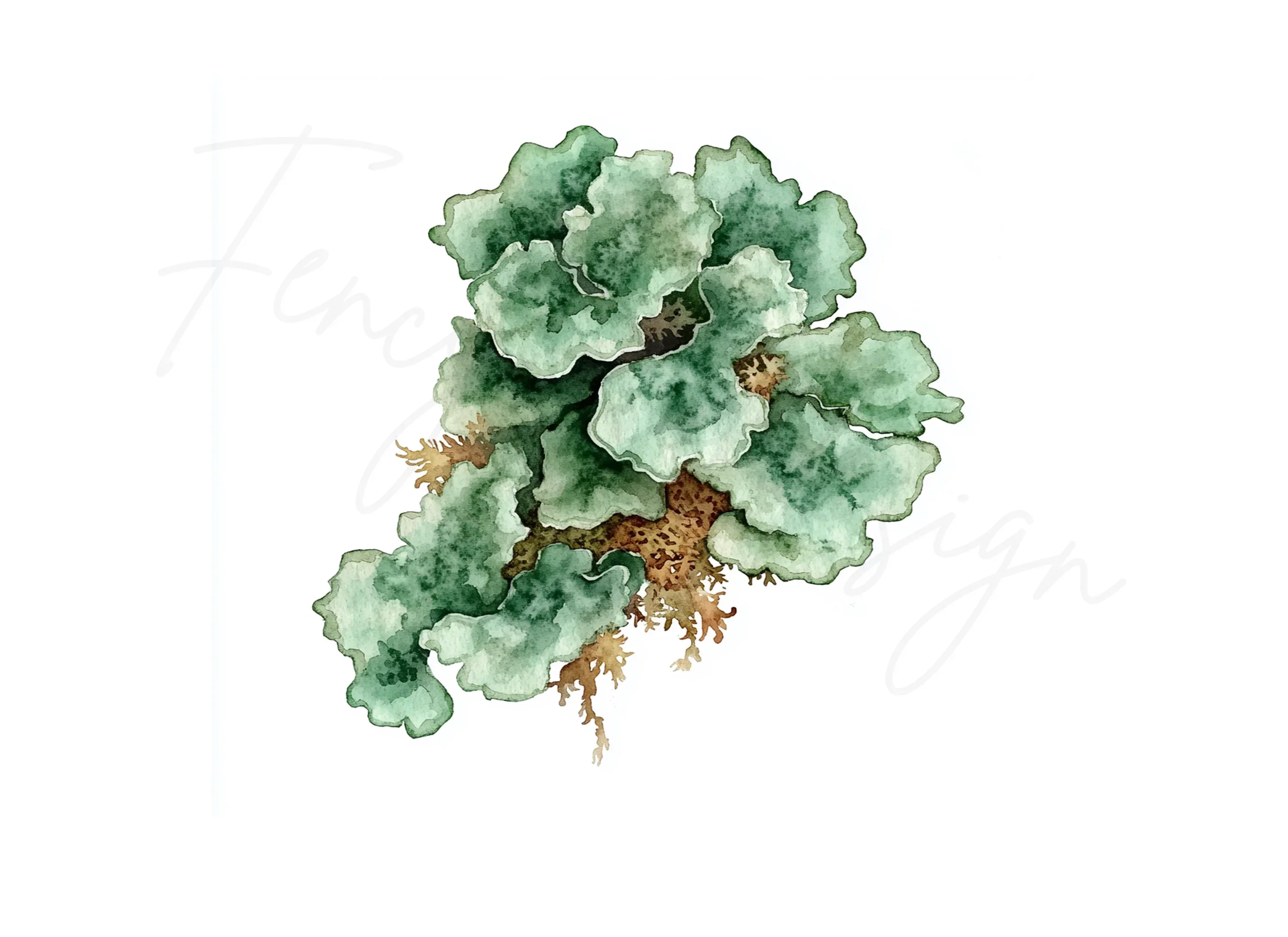 Lichen Clipart Bundle - Image 2