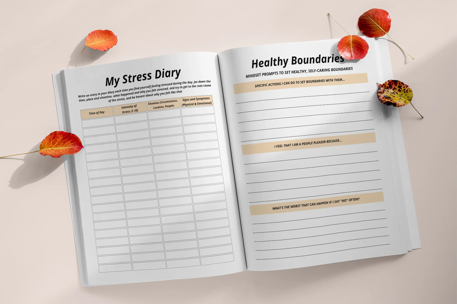 Life Goals Personal Growth Coaching Planner - Image 3