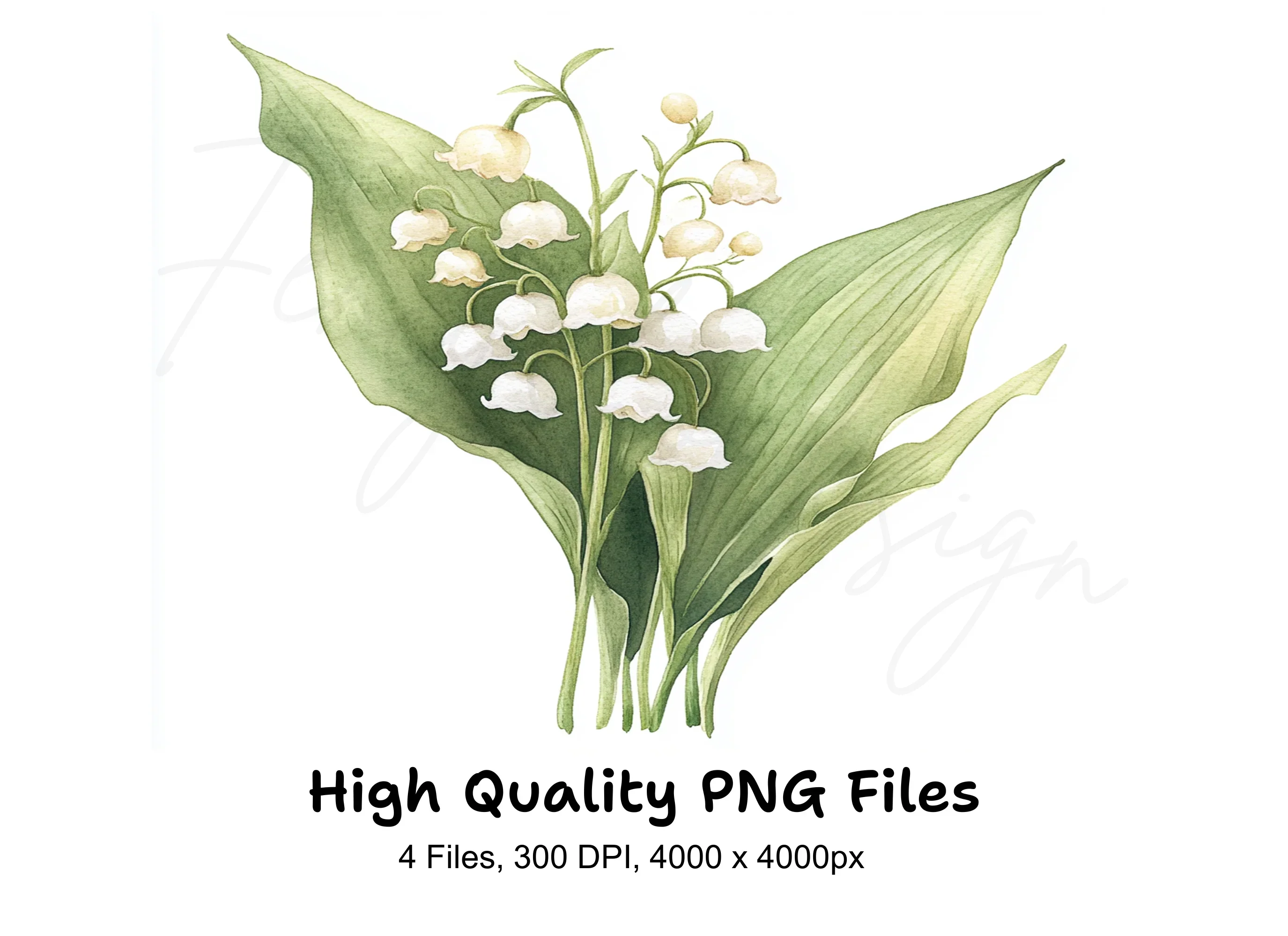 Lily of the Valley Clipart Bundle