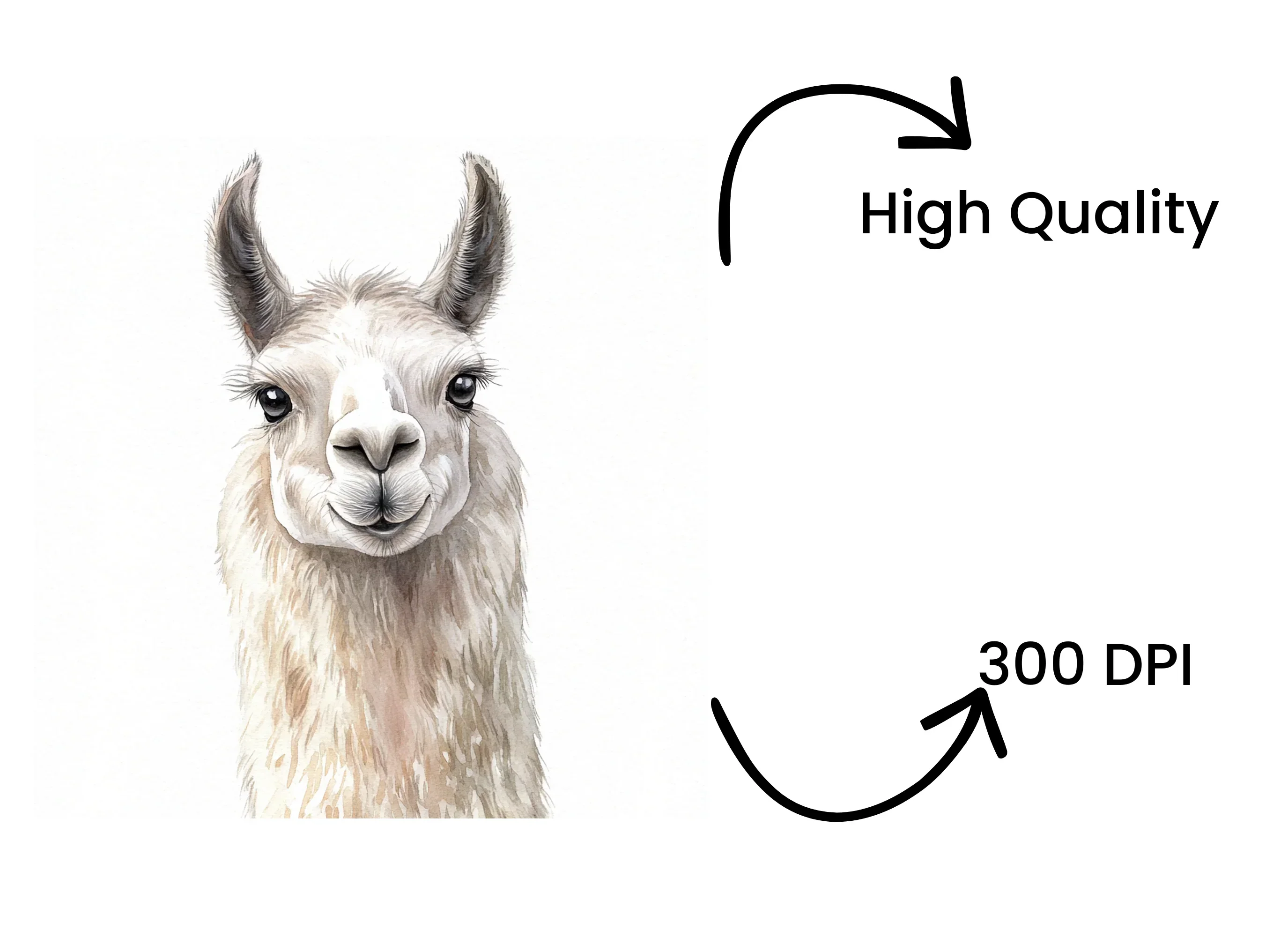Llama Head Clipart Bundle - Image 4