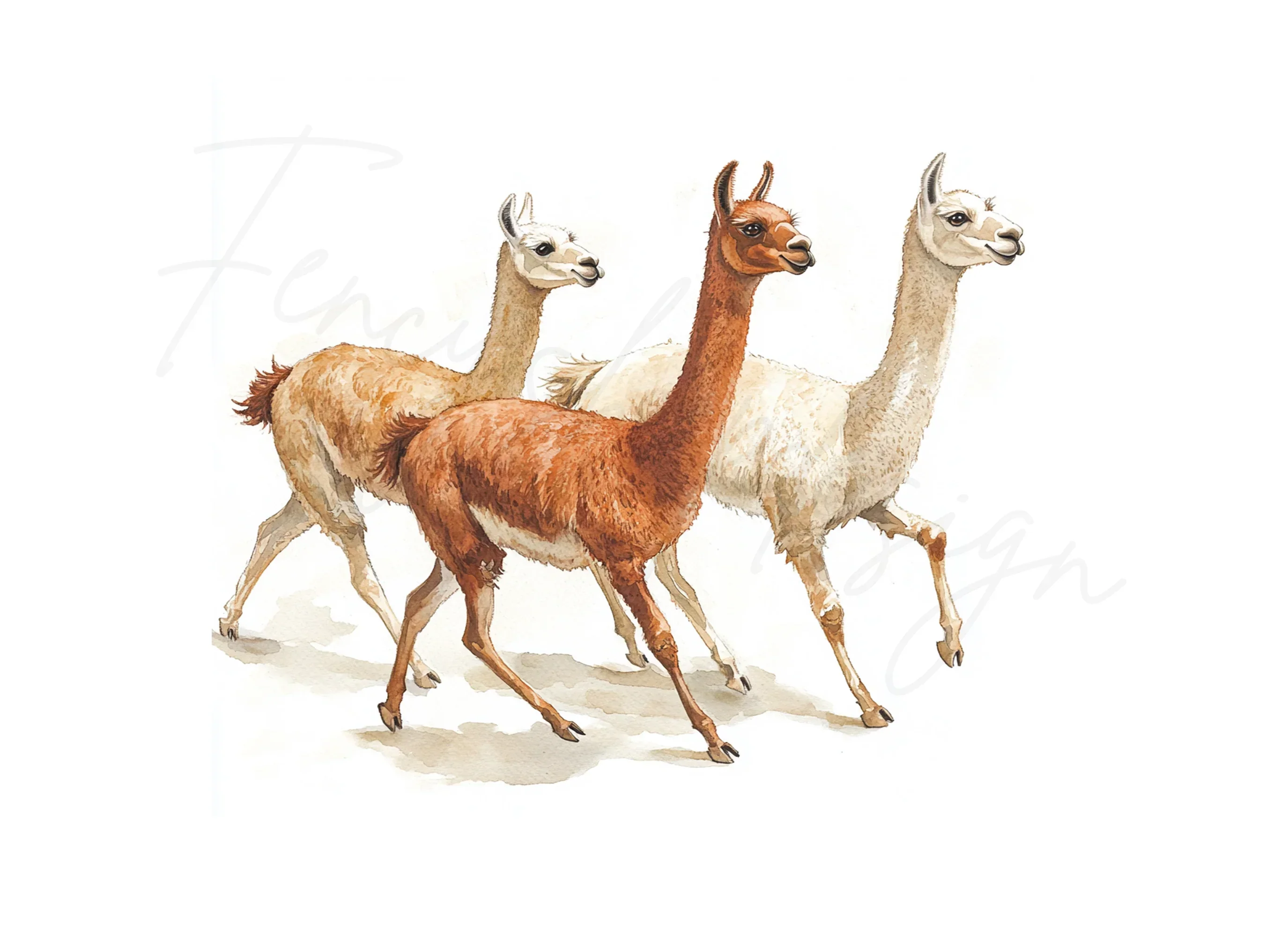 Llama Herd Clipart Bundle - Image 3