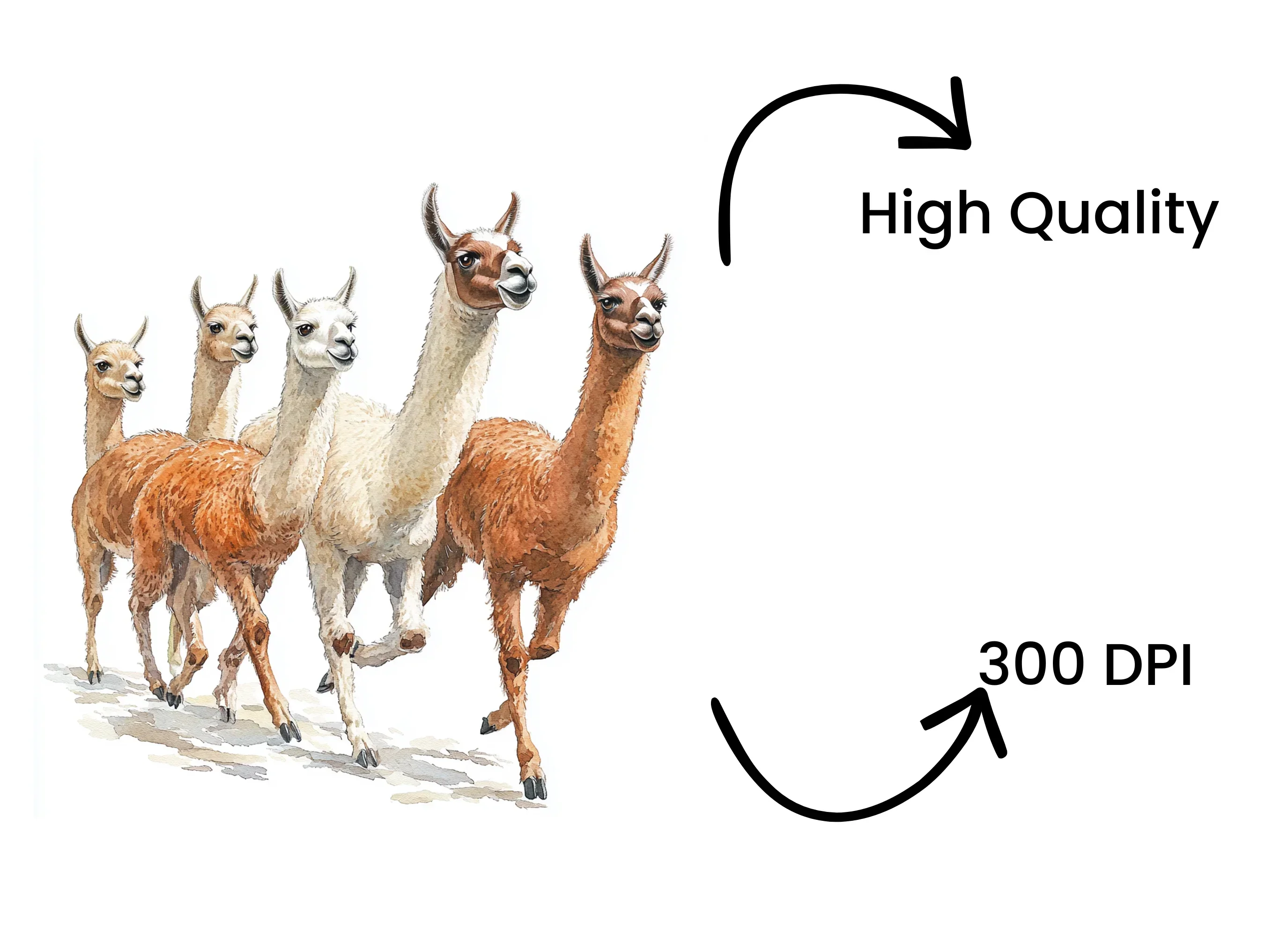 Llama Herd Clipart Bundle - Image 4