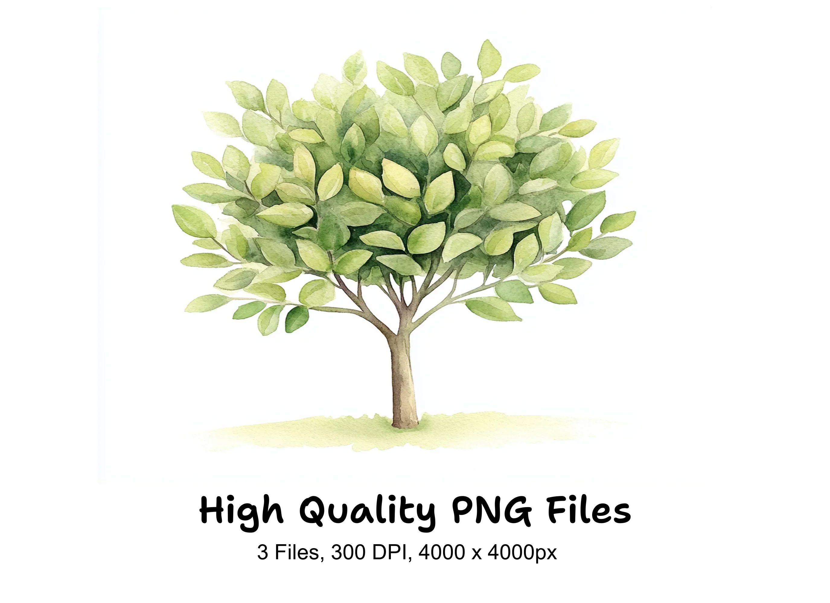 Lush Green Foliage Tree Clipart Bundle