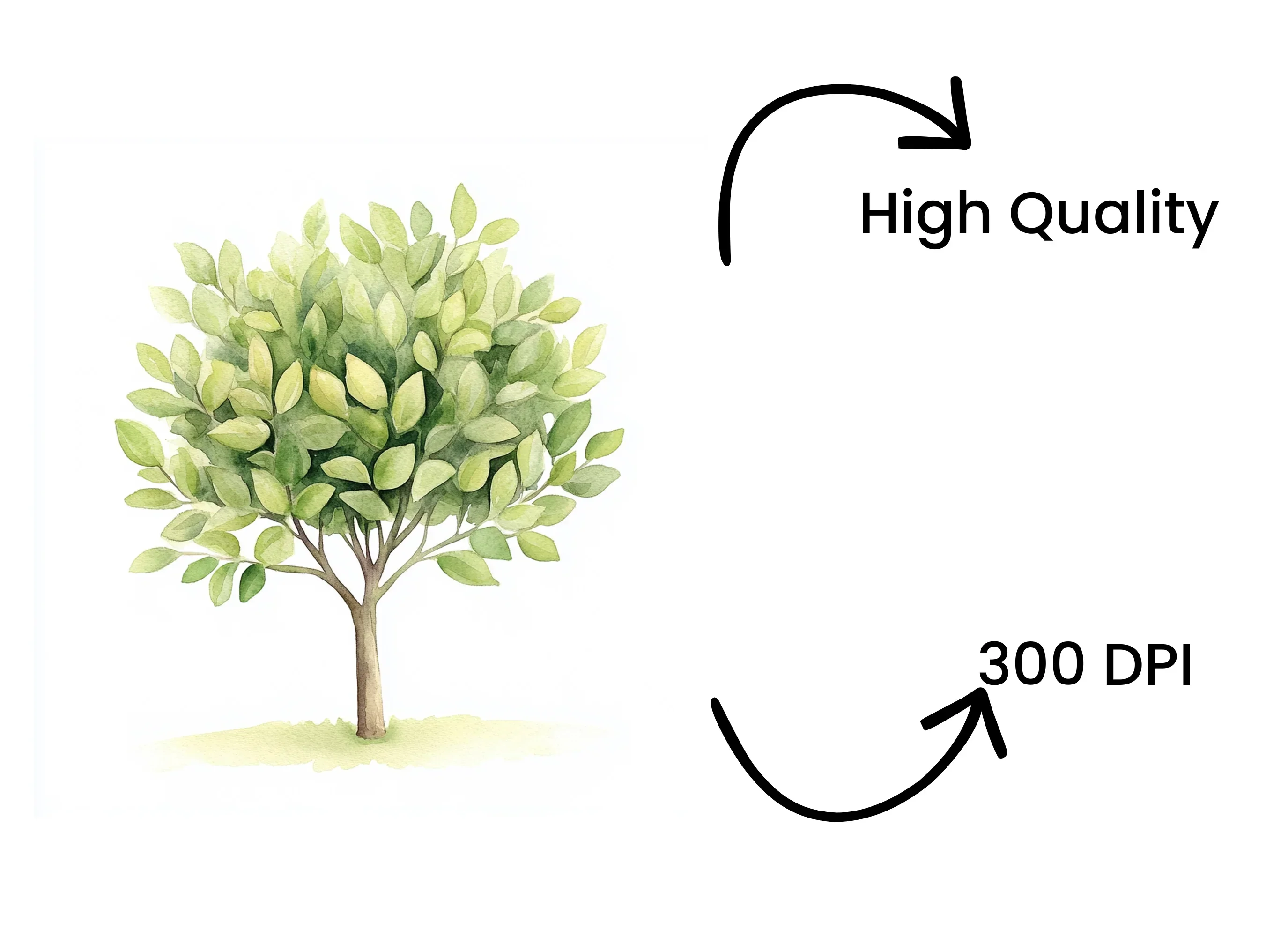 Lush Green Foliage Tree Clipart Bundle - Image 4