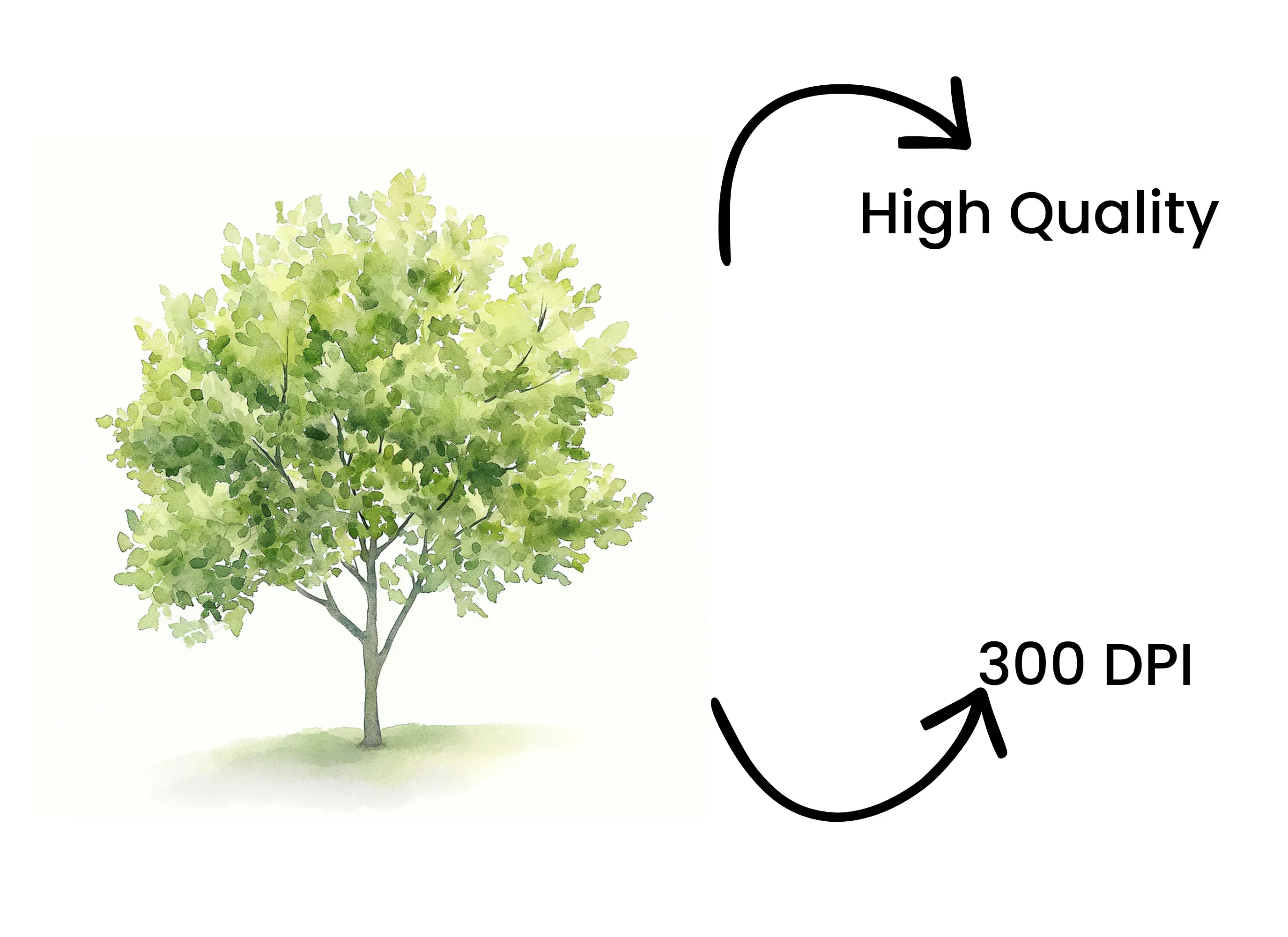 Lush Green Tree Clipart Bundle - Image 4