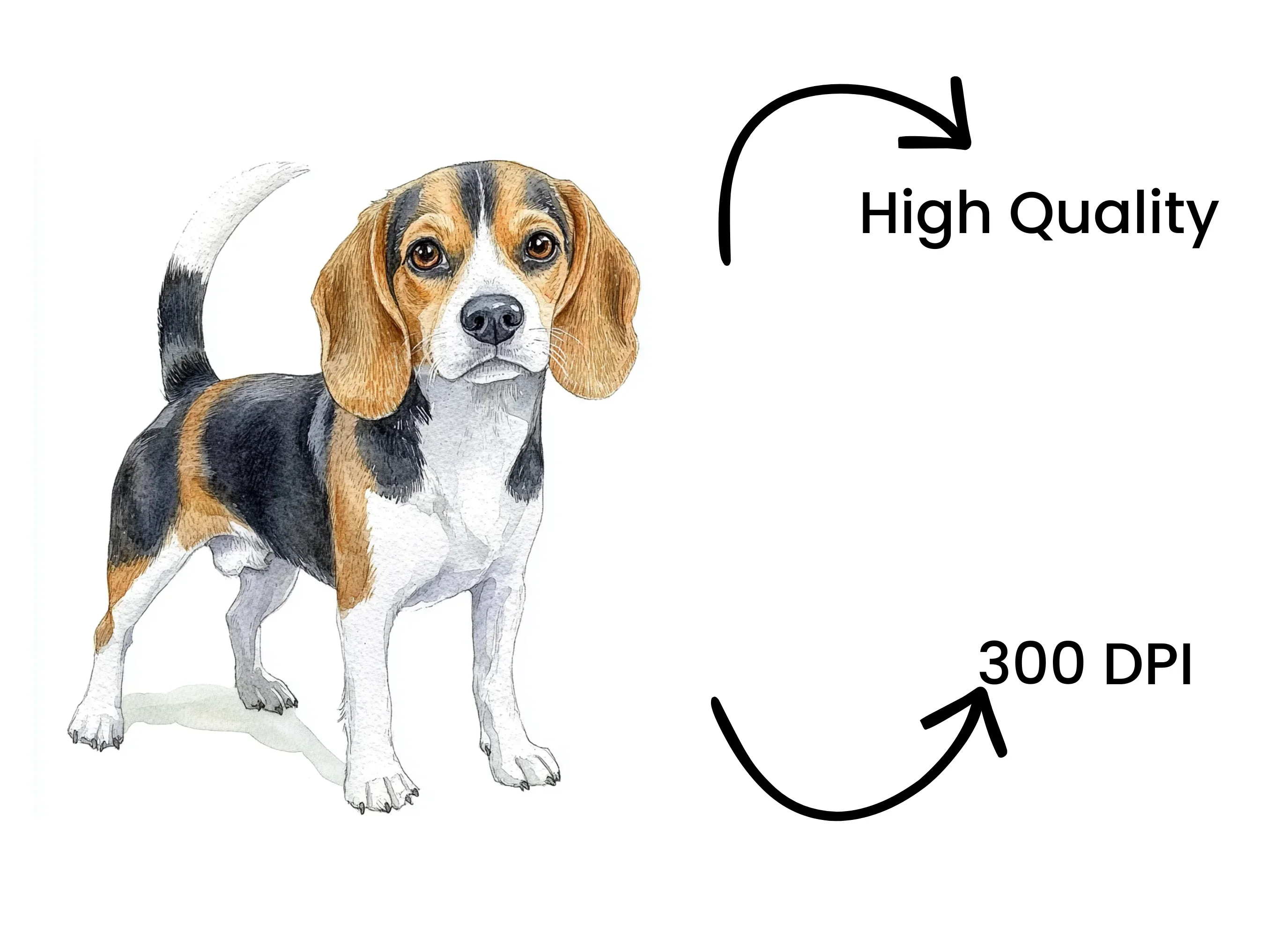 Majestic Adult Beagle Dog Clipart Bundle - Image 4