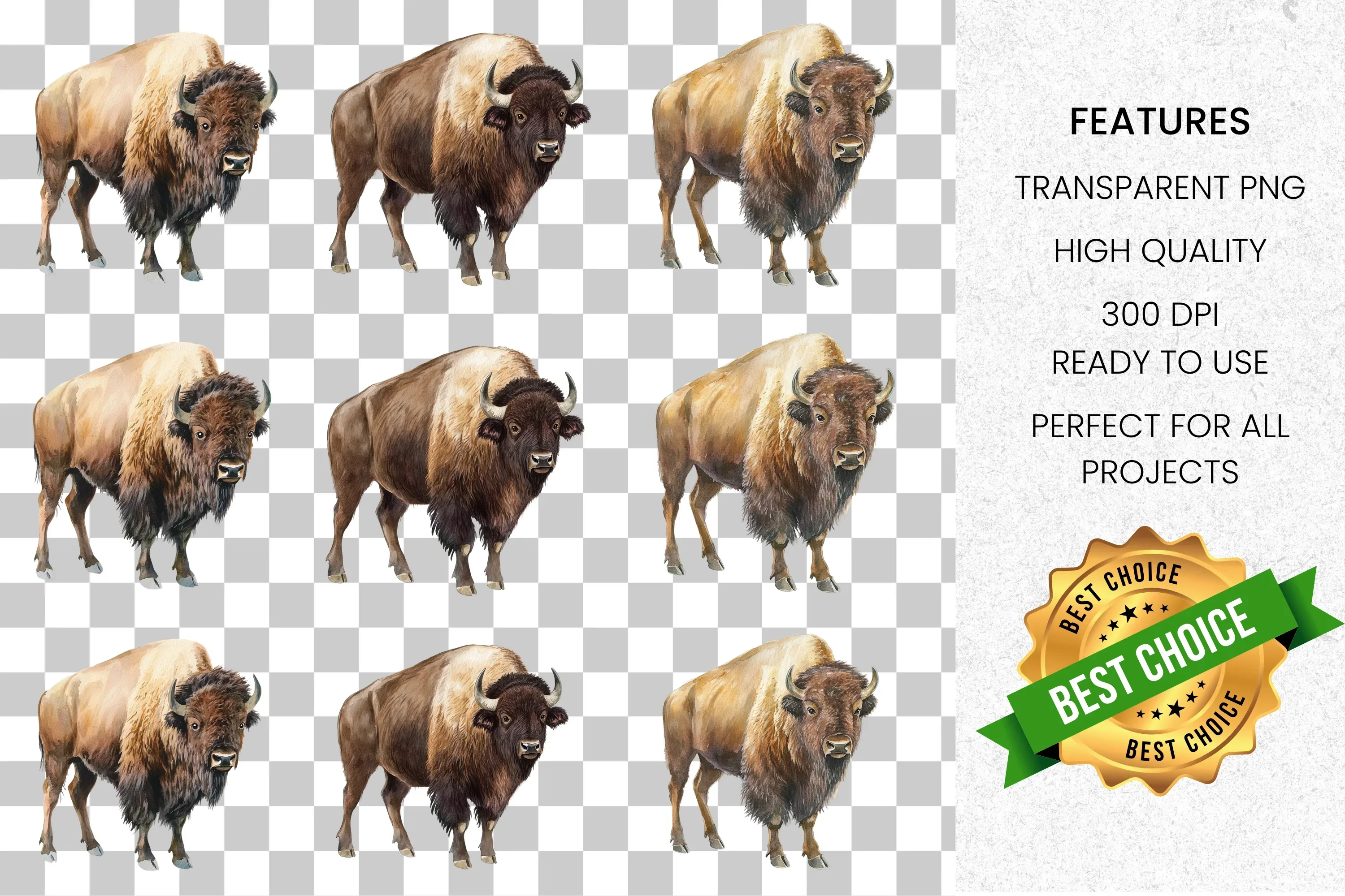 Majestic American Bison Clipart Bundle - Image 2