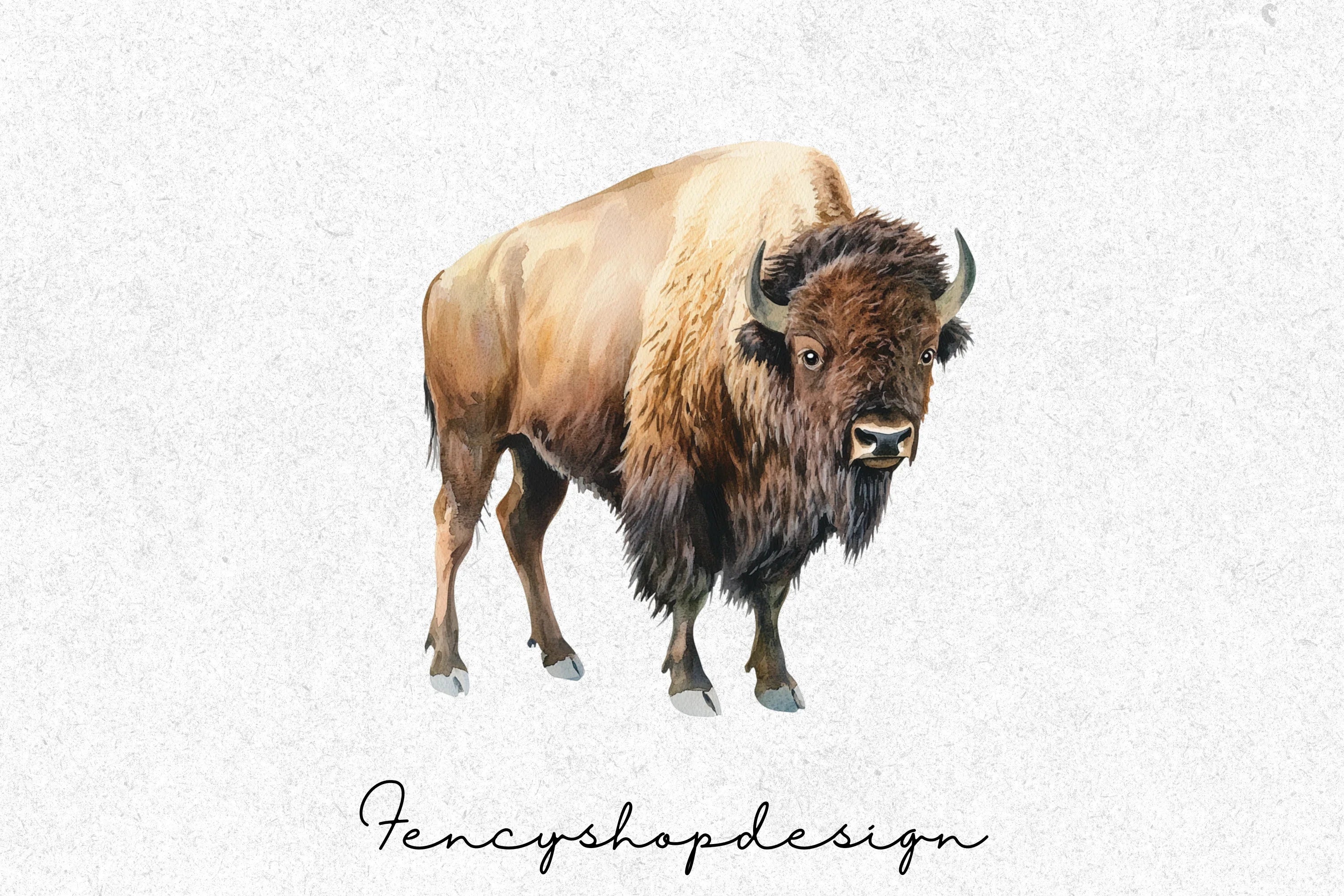 Majestic American Bison Clipart Bundle - Image 3