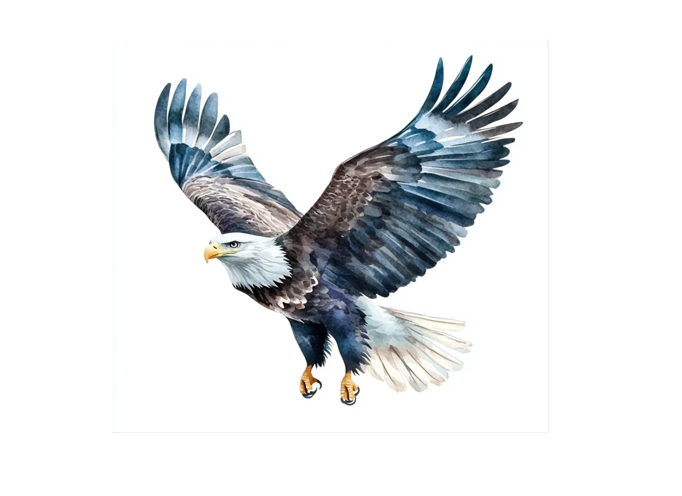 Majestic Bald Eagle Clipart Bundle - Image 2