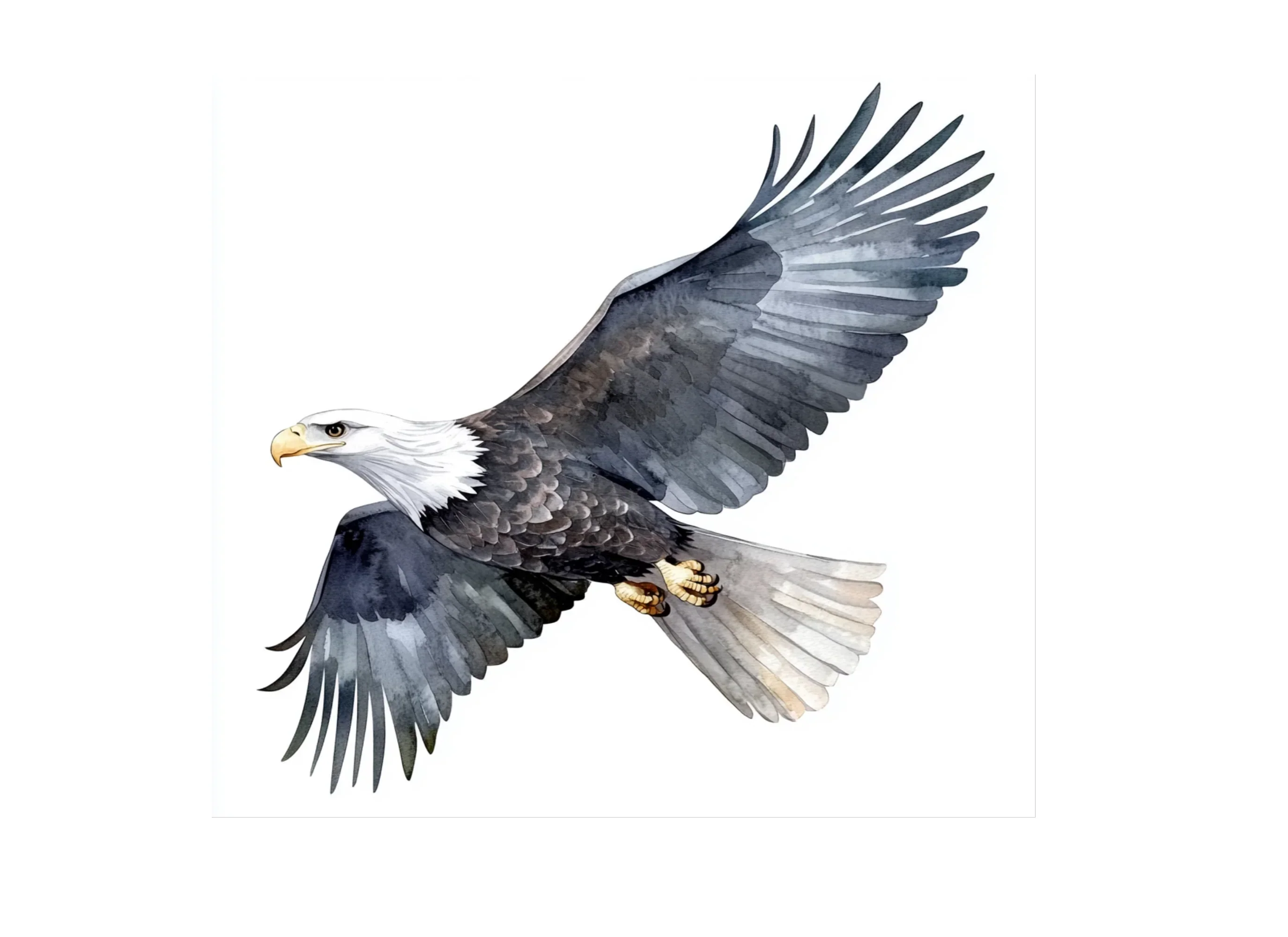 Majestic Bald Eagle Clipart Bundle - Image 3