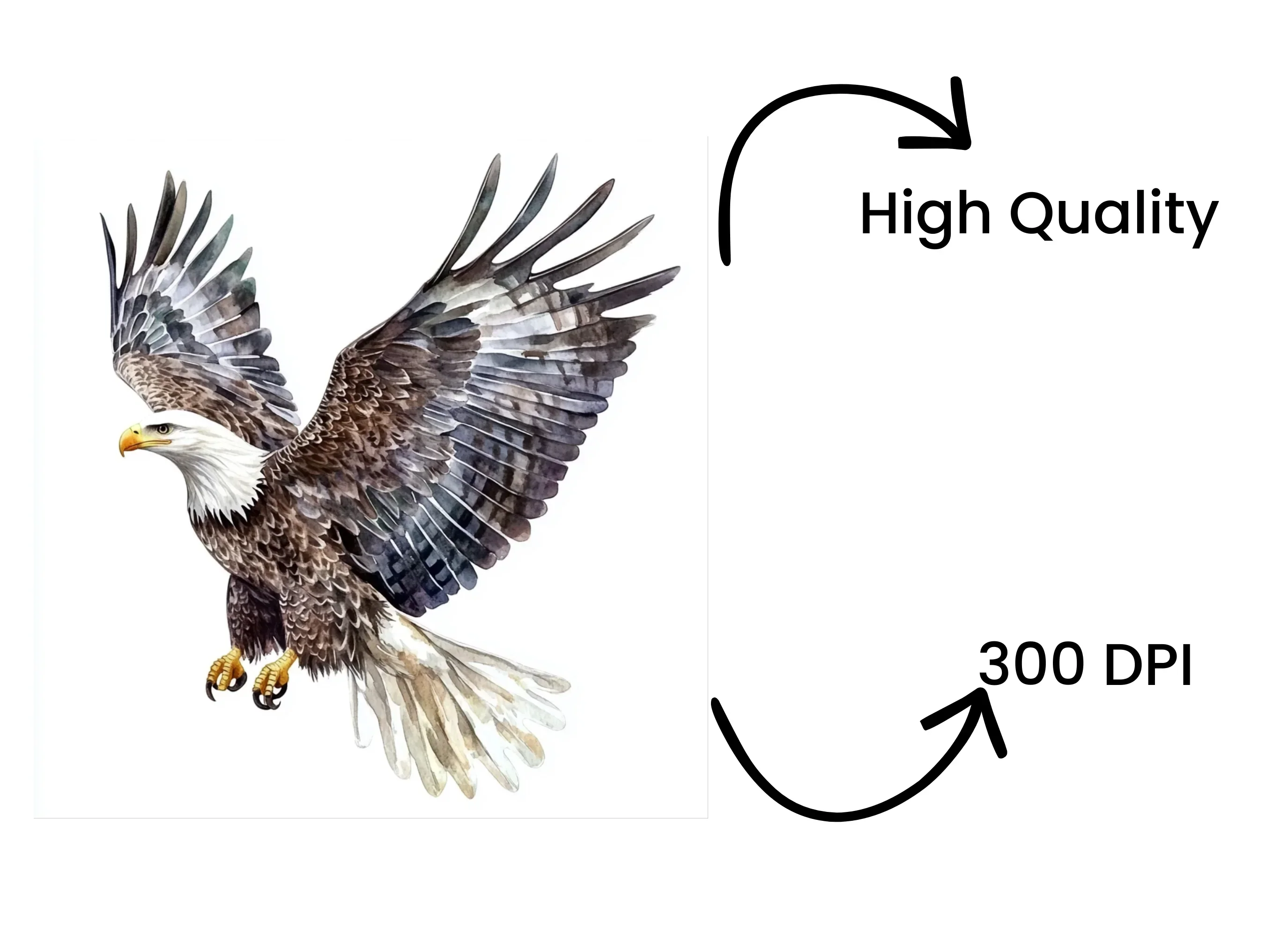 Majestic Bald Eagle Clipart Bundle - Image 4