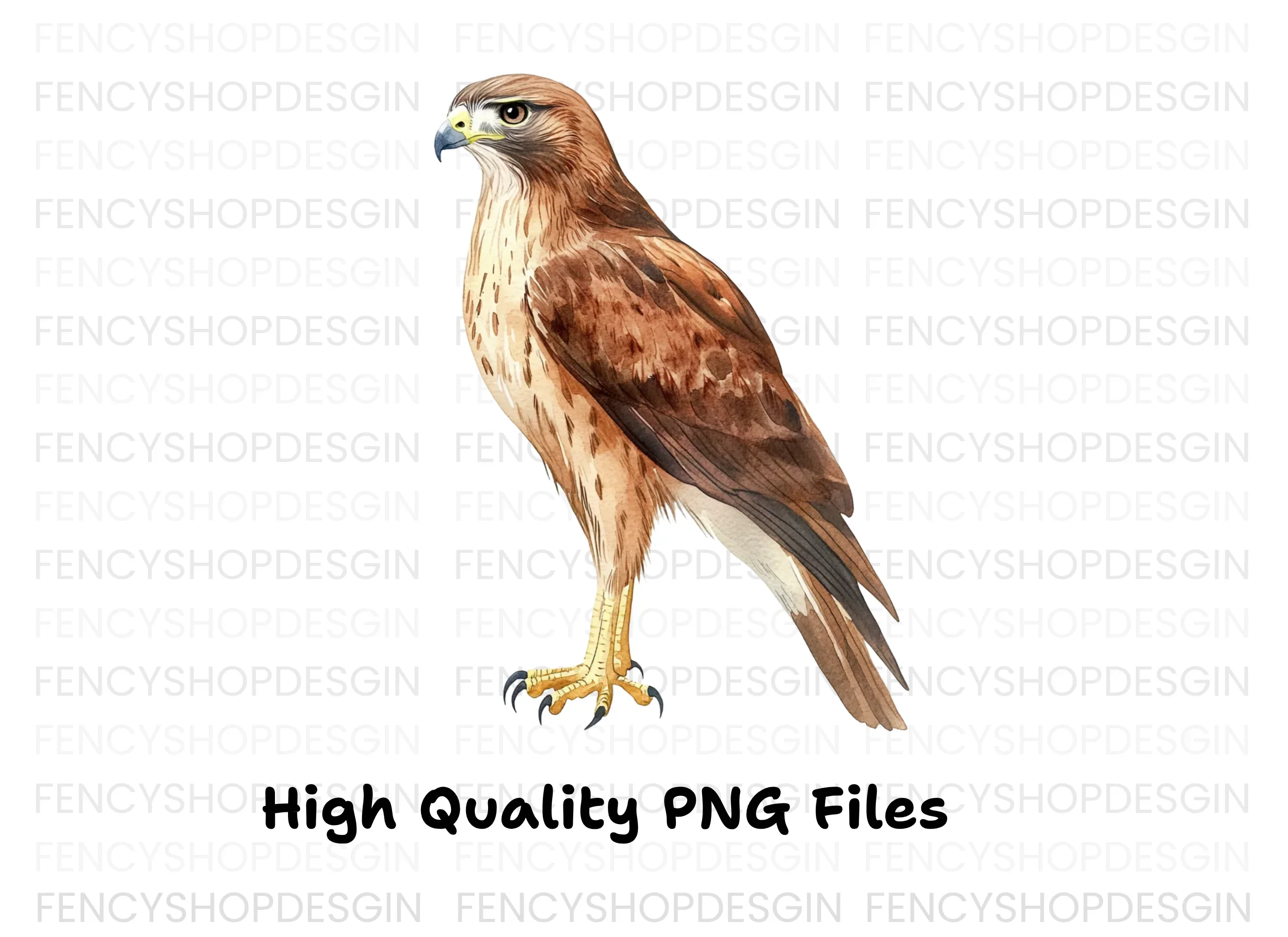 Majestic Brown Hawk Bird Clipart Bundle - Image 2