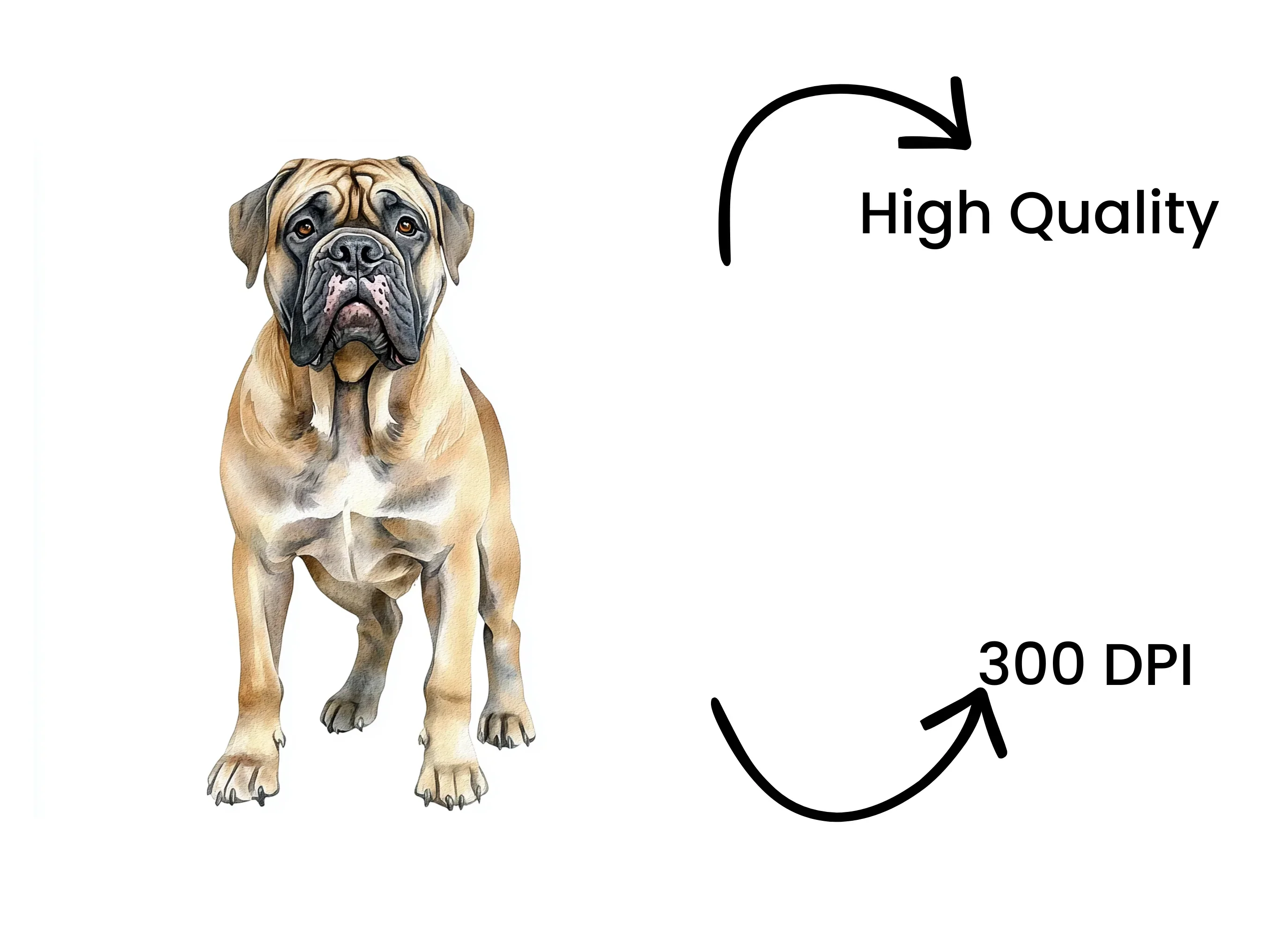 Majestic Bullmastiff Dog Clipart Bundle - Image 4