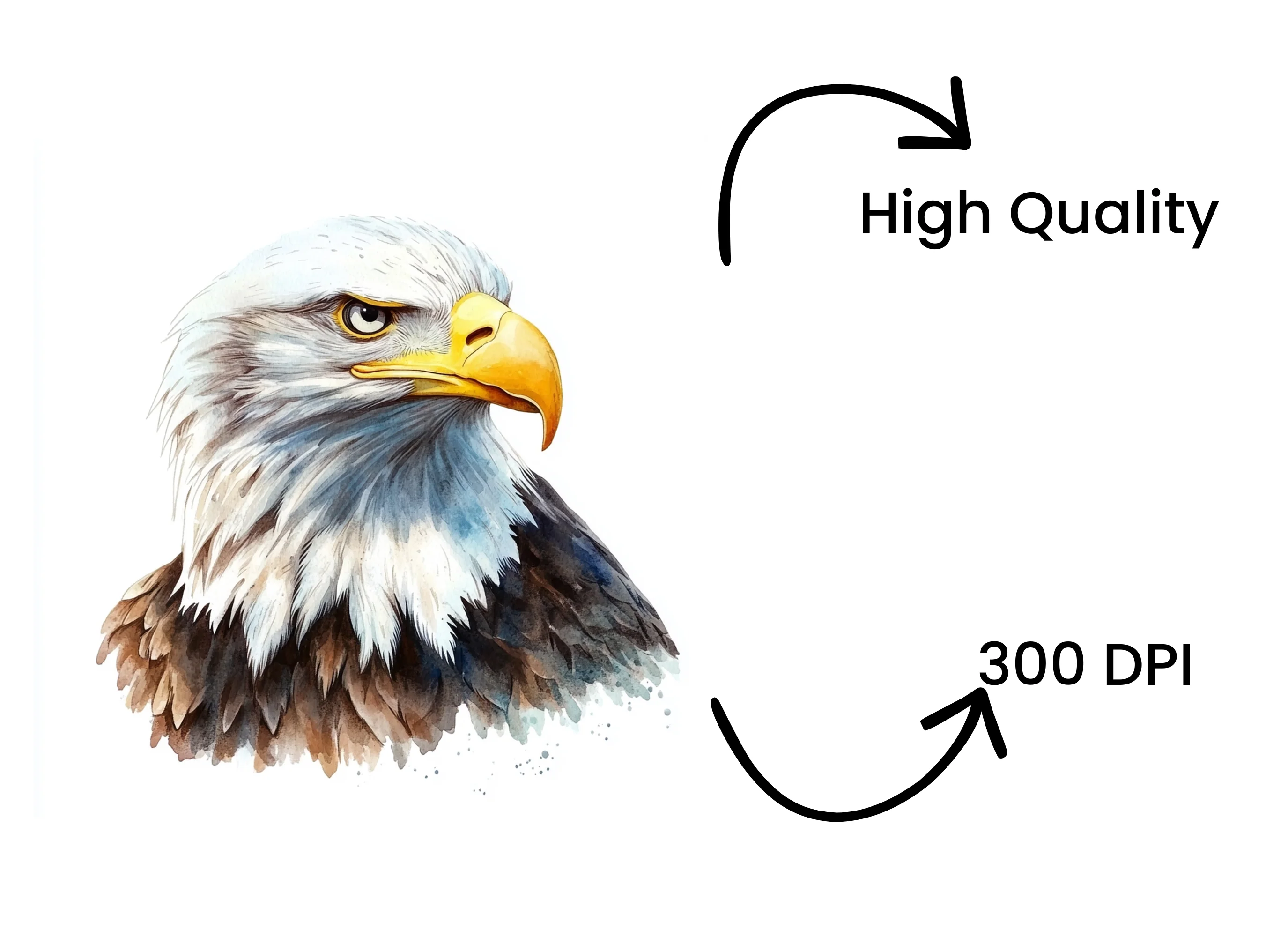 Majestic Eagle Head Clipart Bundle - Image 4