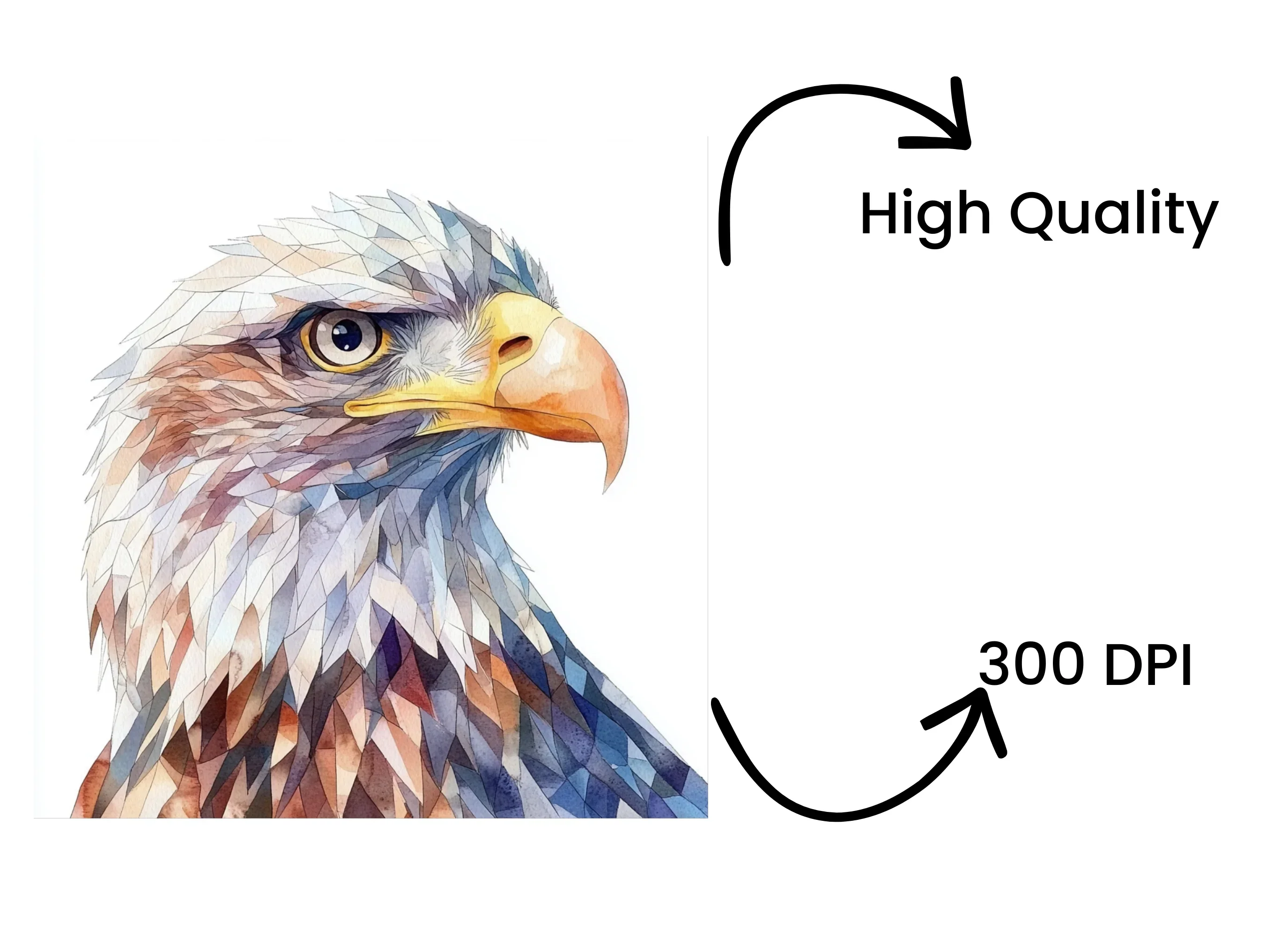 Majestic Eagle Head Clipart Bundle - Image 4