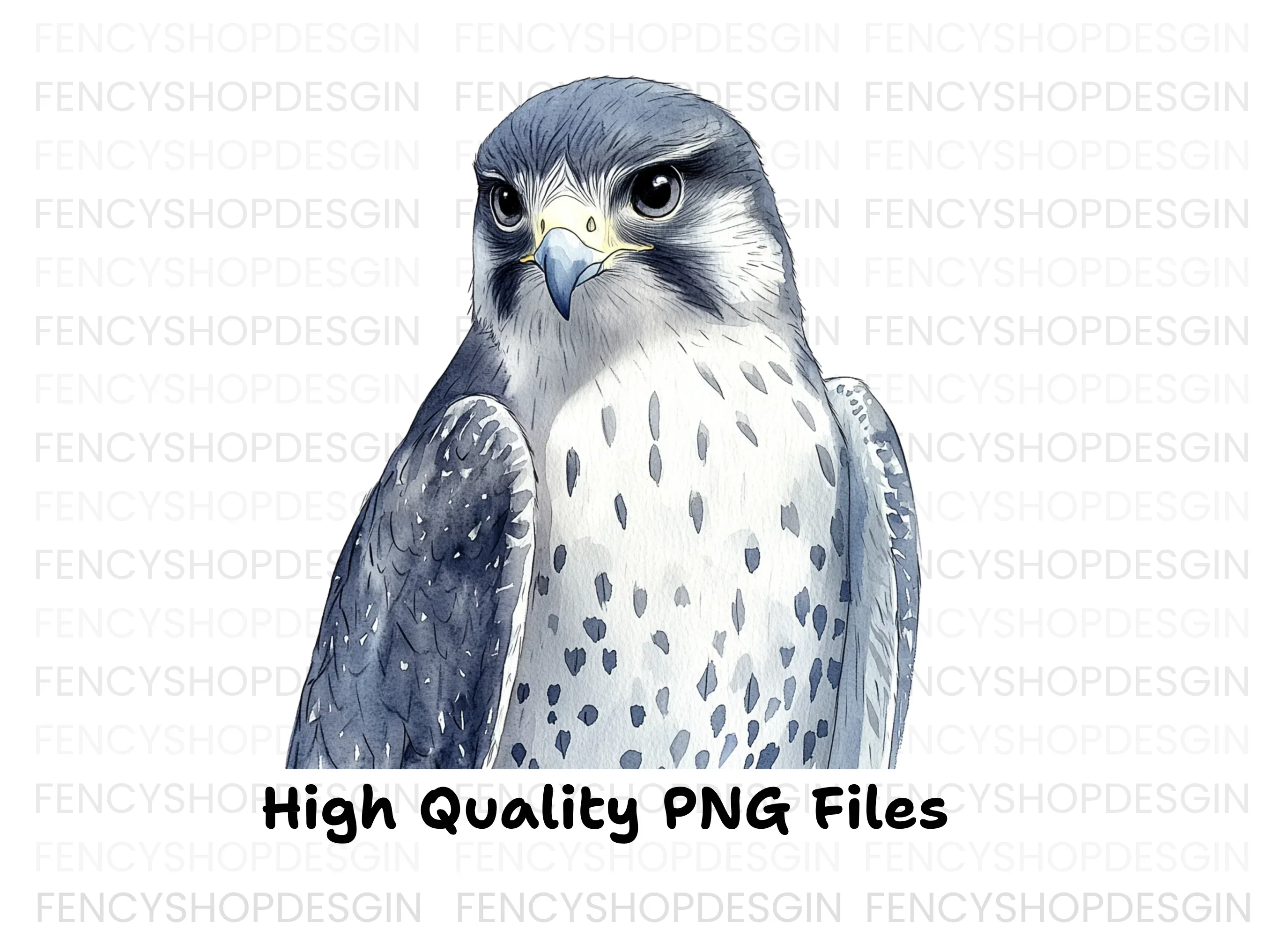 Majestic Falcon Clipart Bundle - Image 3
