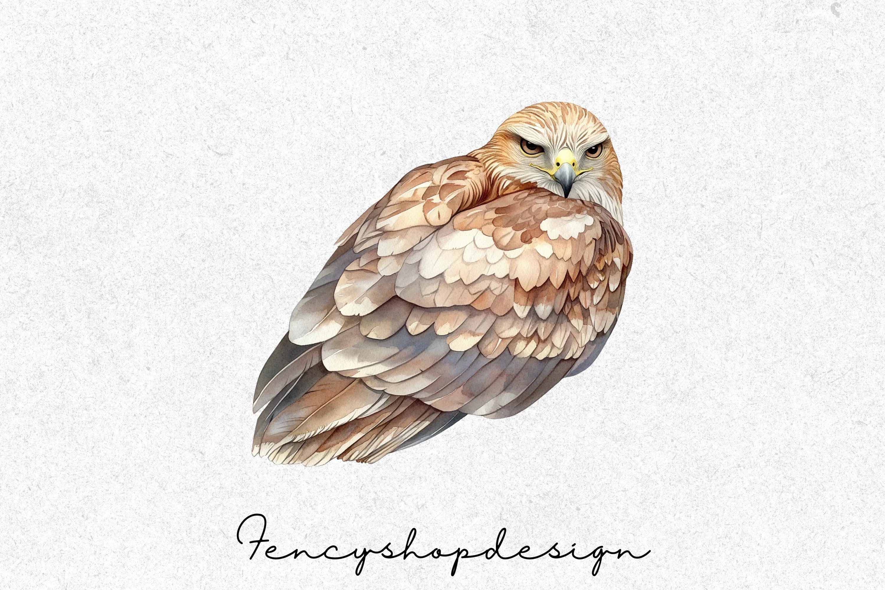 Majestic Hawk Bird Clipart Bundle - Image 3