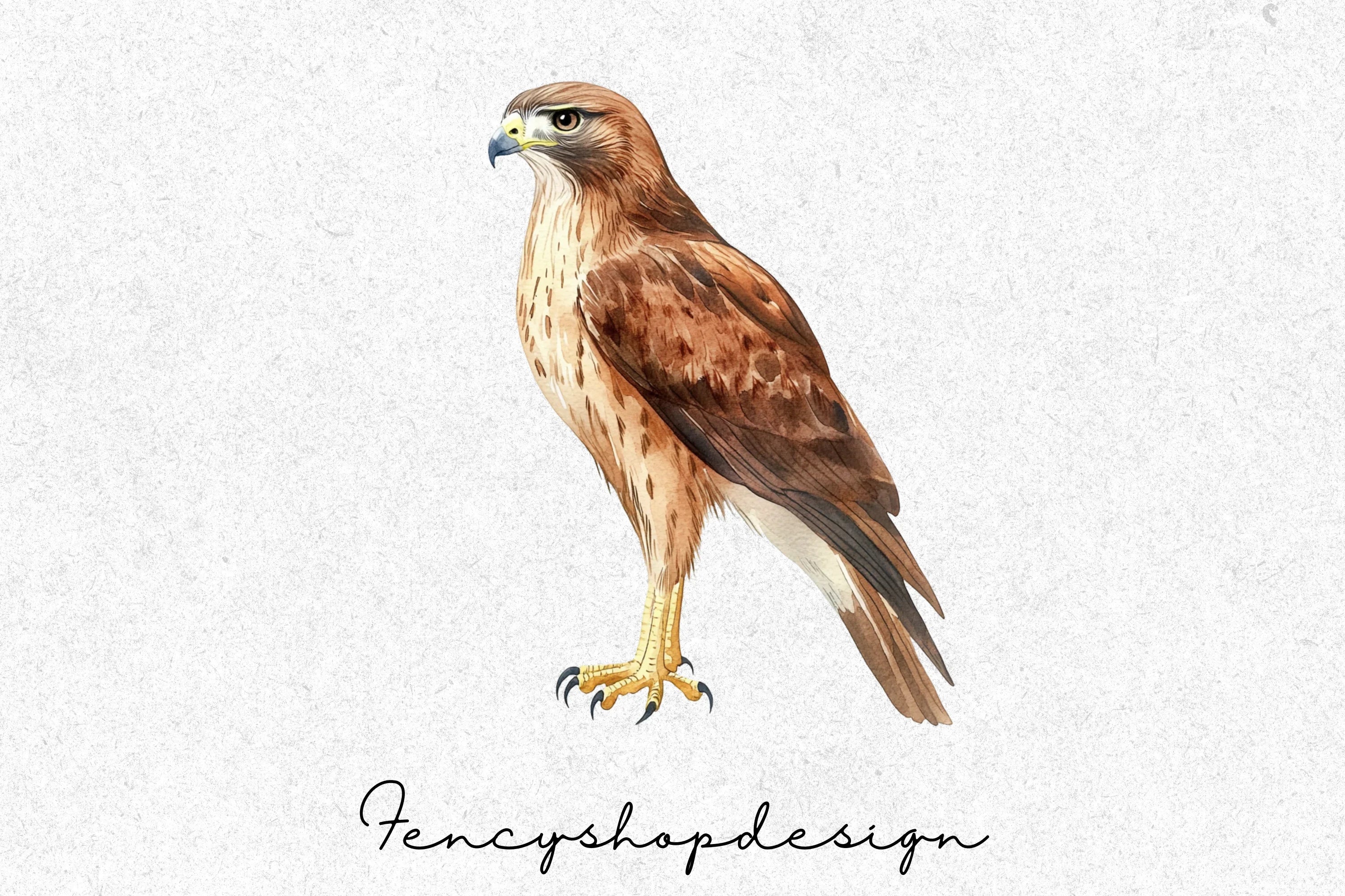 Majestic Hawk Bird Clipart Bundle - Image 4