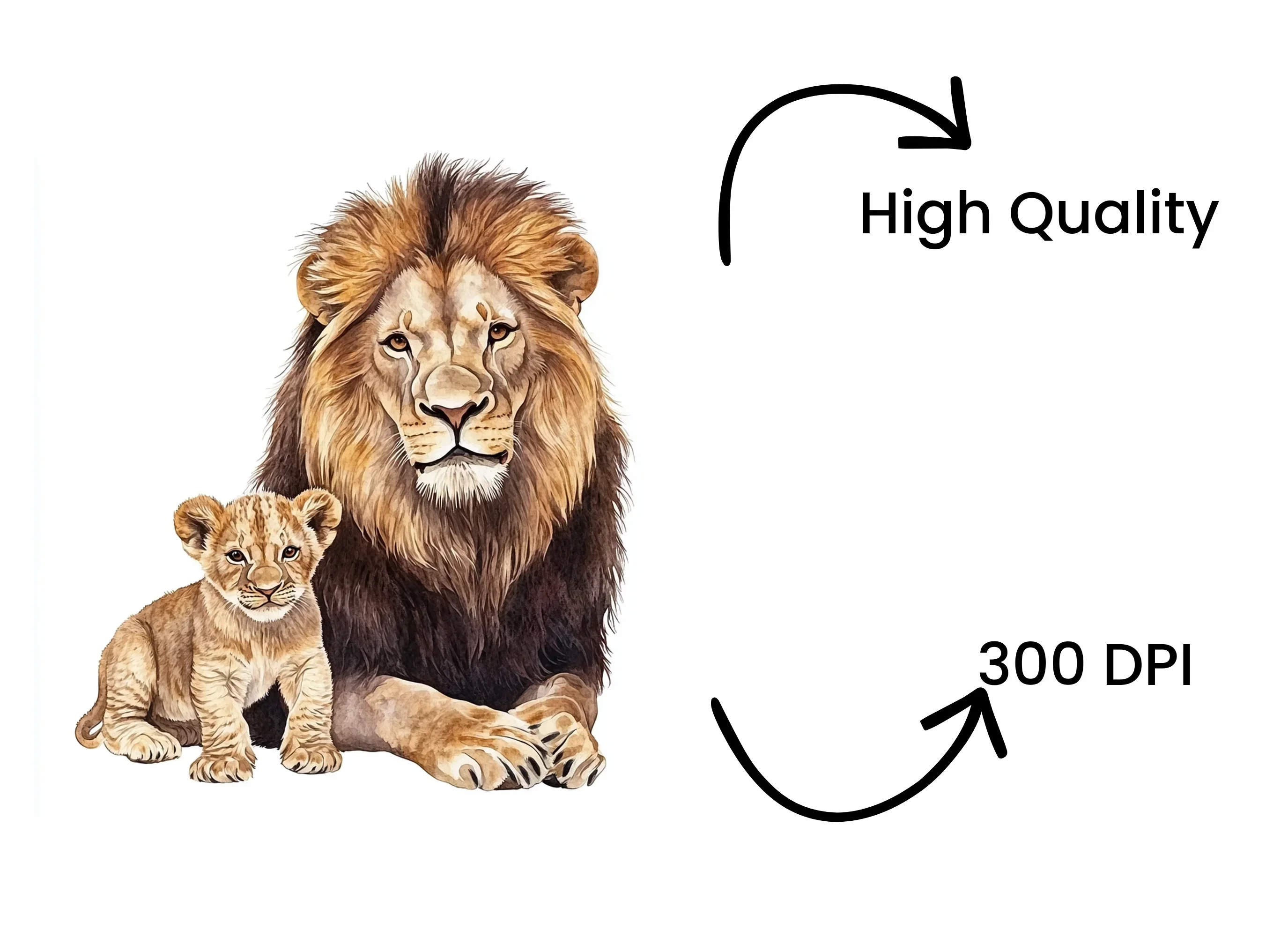 Majestic Lion and Cub Clipart Bundle - Image 4