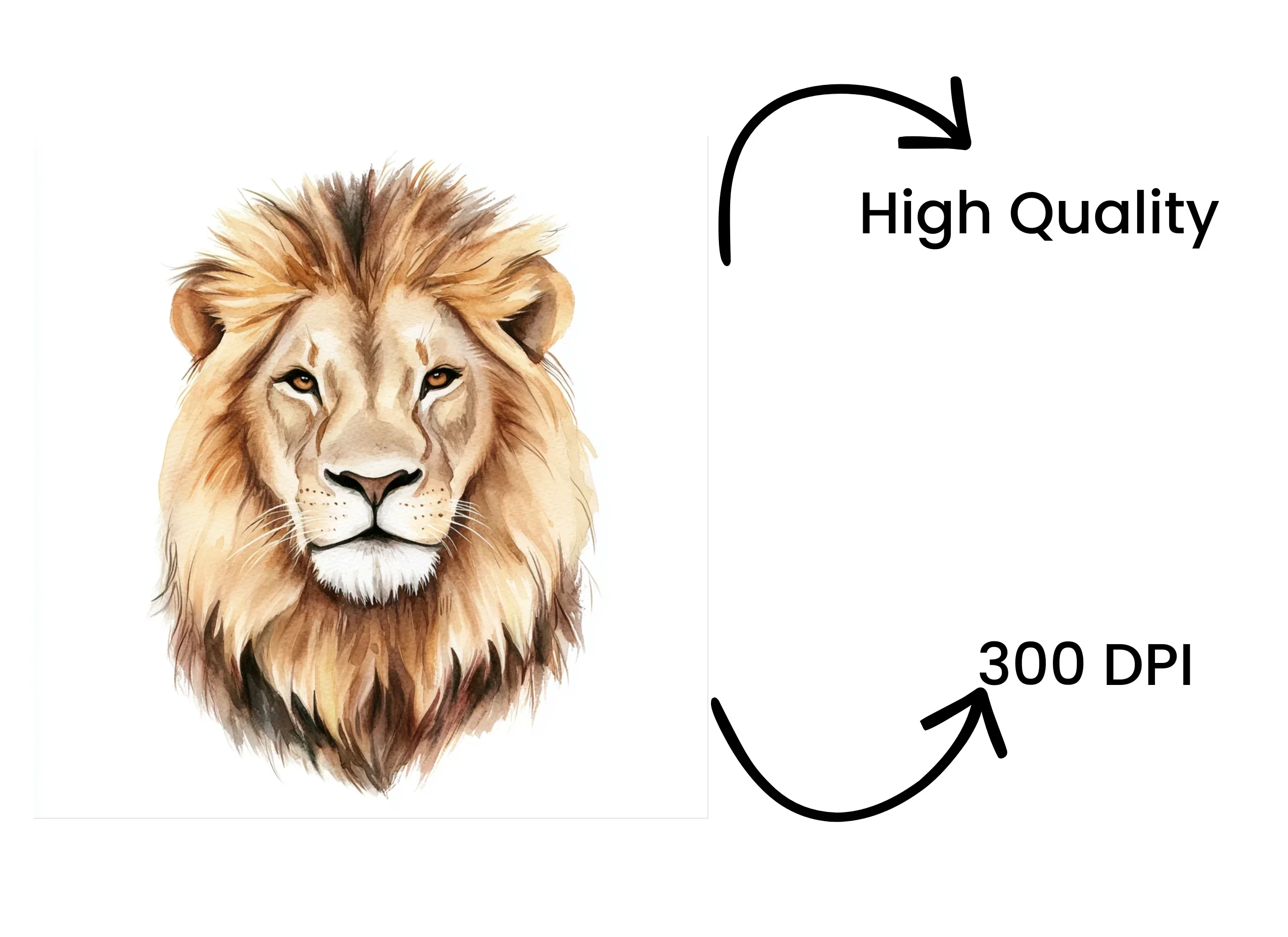 Majestic Lion Clipart Bundle - Image 4