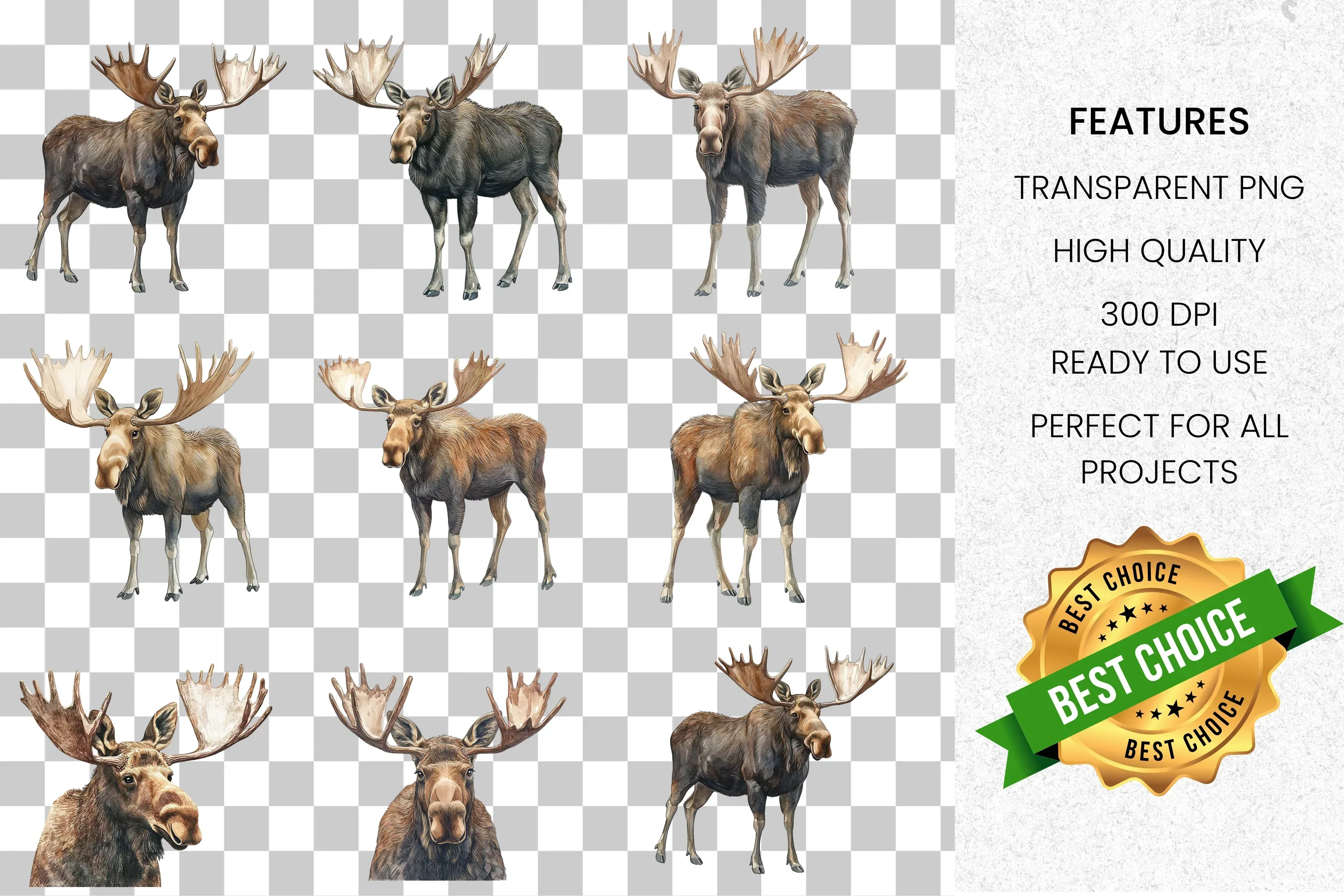 Majestic Moose Clipart Bundle - Image 3
