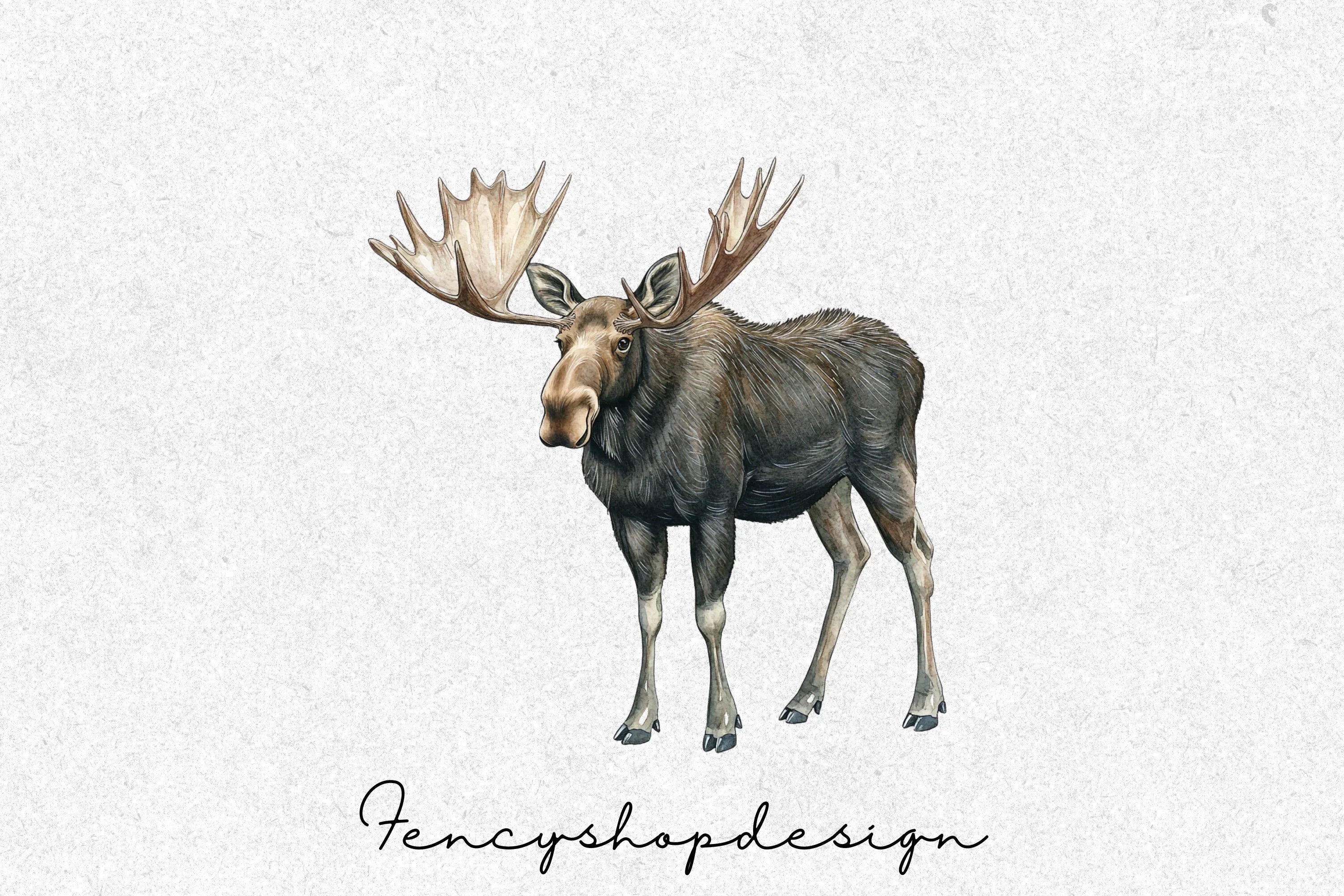 Majestic Moose Clipart Bundle - Image 8