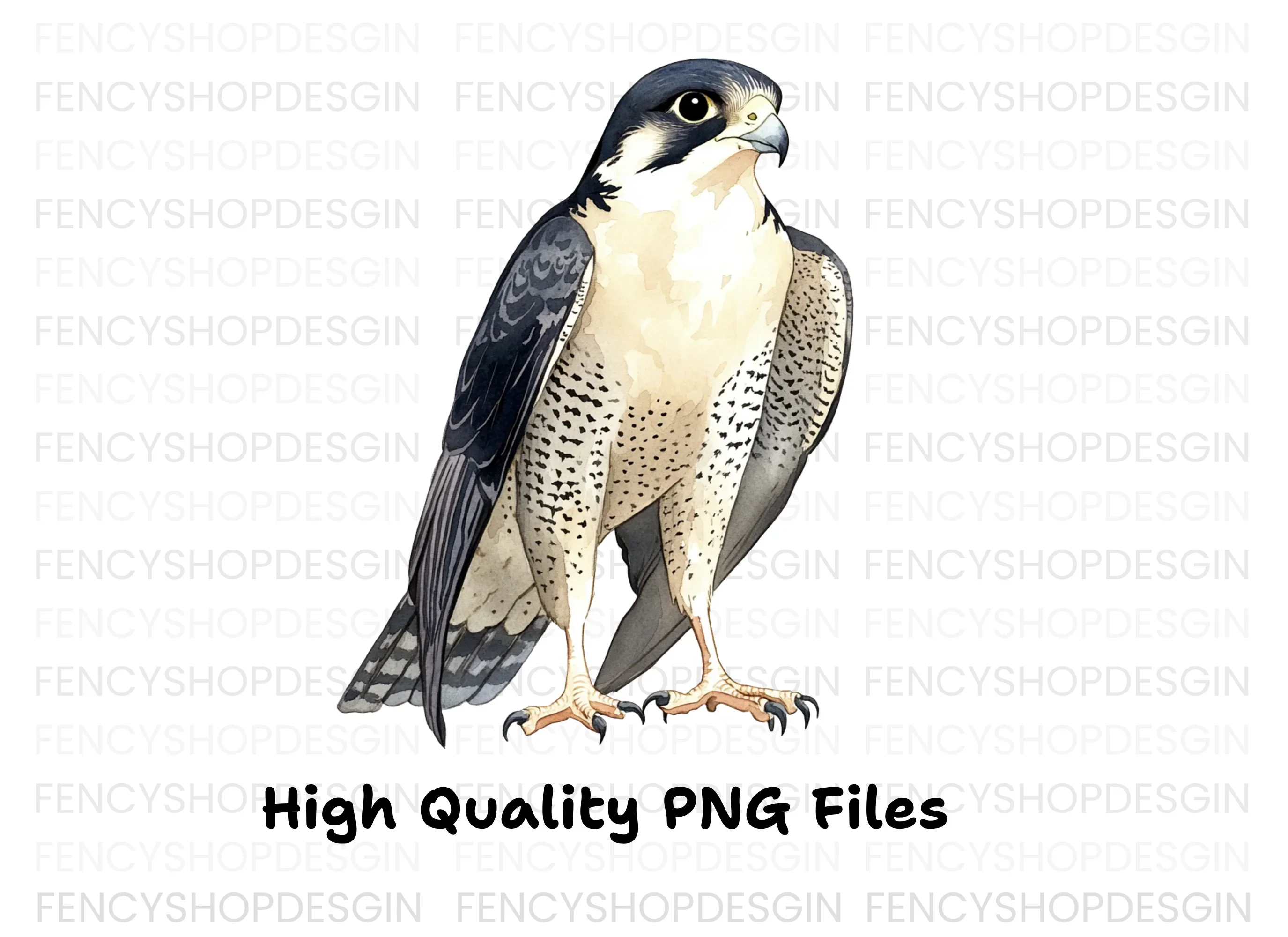 Majestic Peregrine Falcon Clipart Bundle - Image 2
