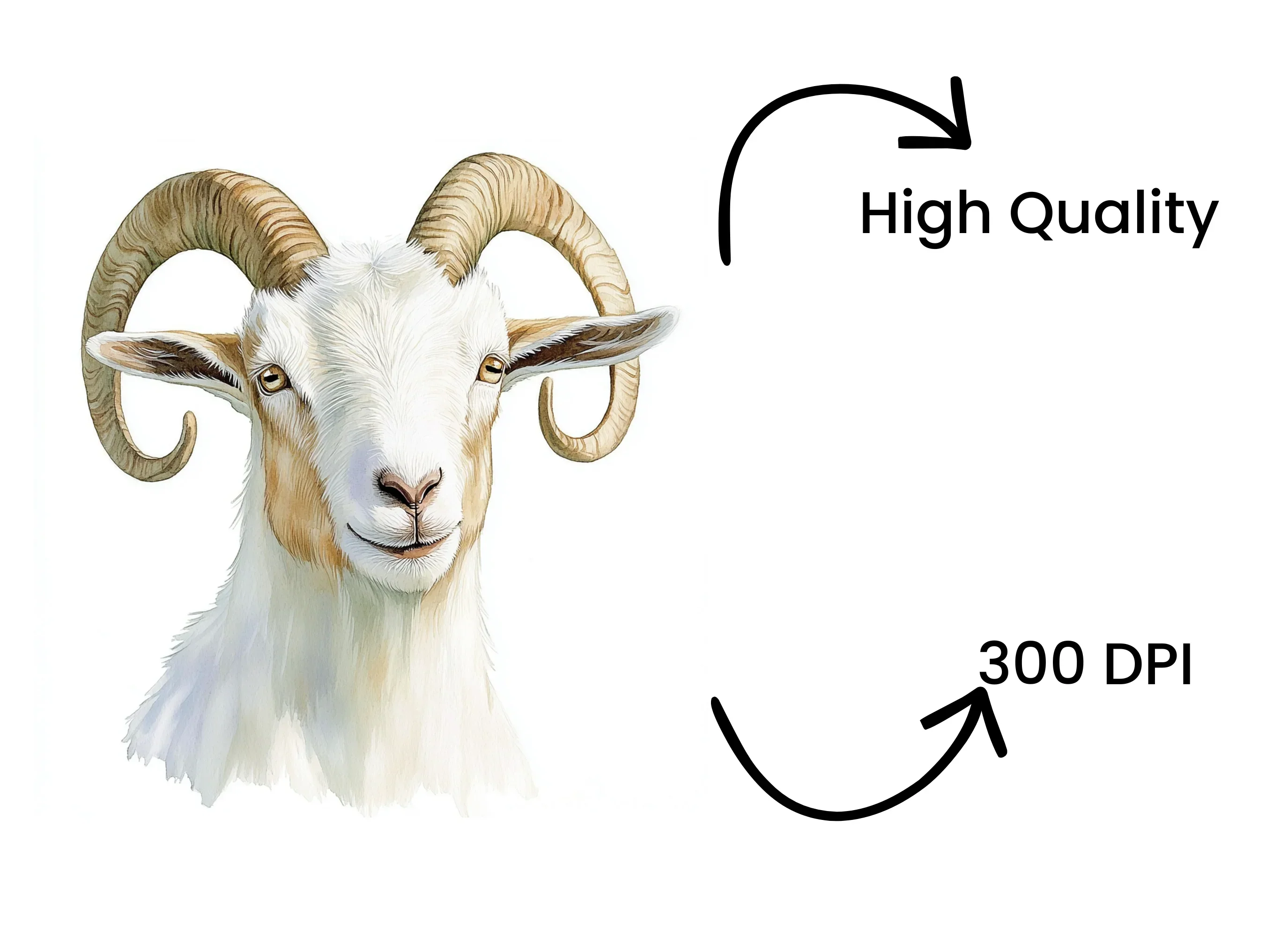 Majestic Ram Head Clipart Bundle - Image 4
