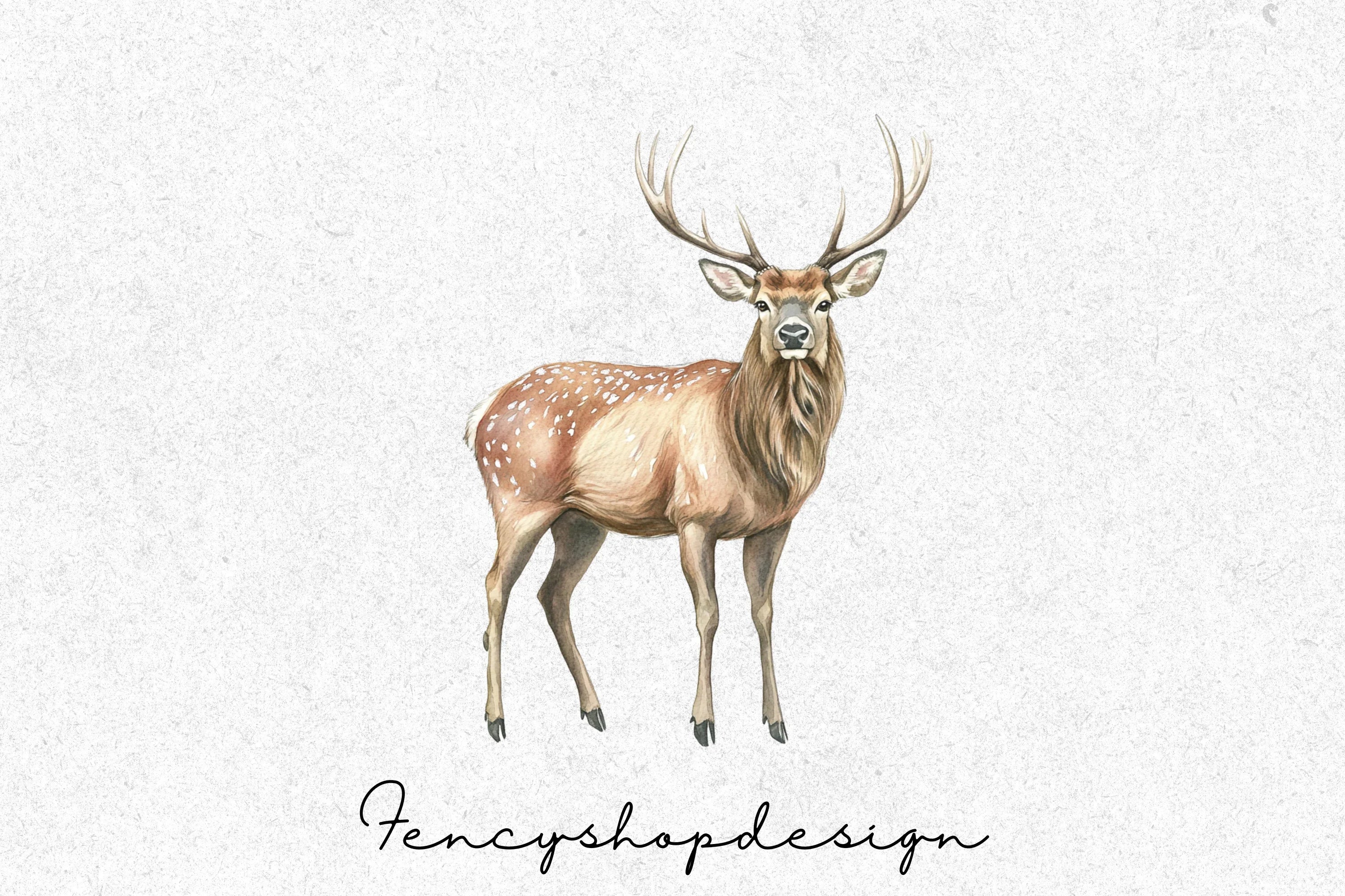 Majestic Realistic Deer Clipart Bundle - Image 3