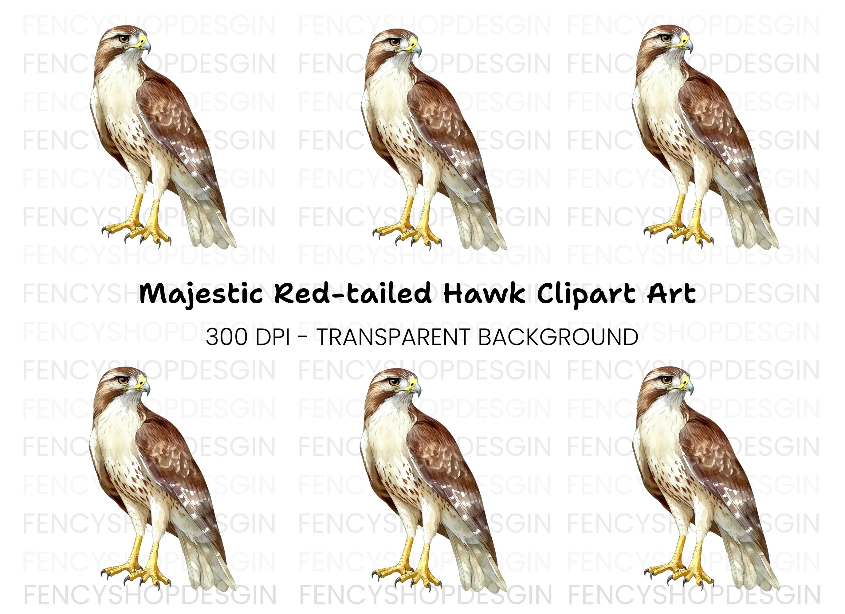 Majestic Red Tailed Hawk Clipart Bundle