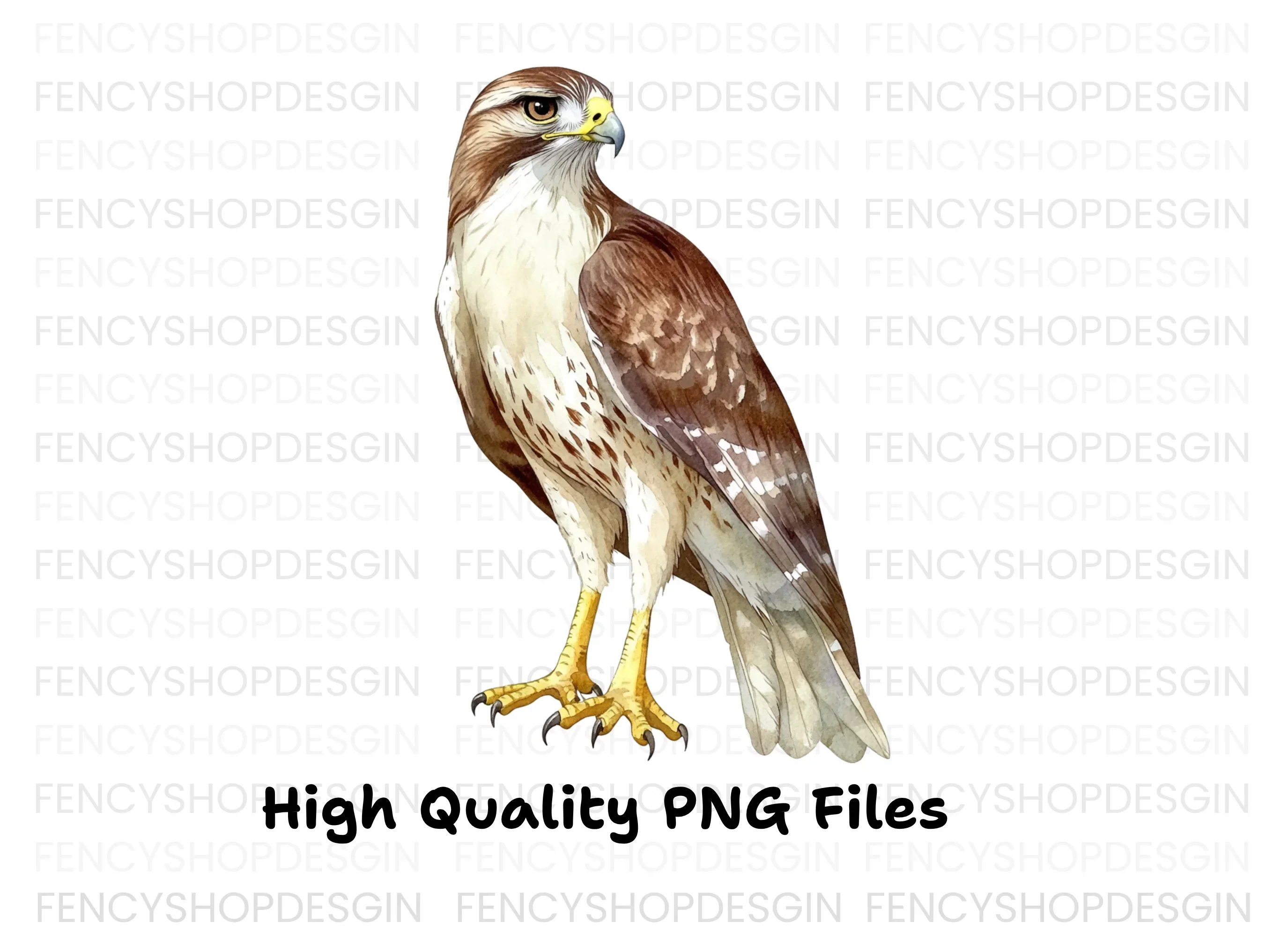 Majestic Red Tailed Hawk Clipart Bundle - Image 2