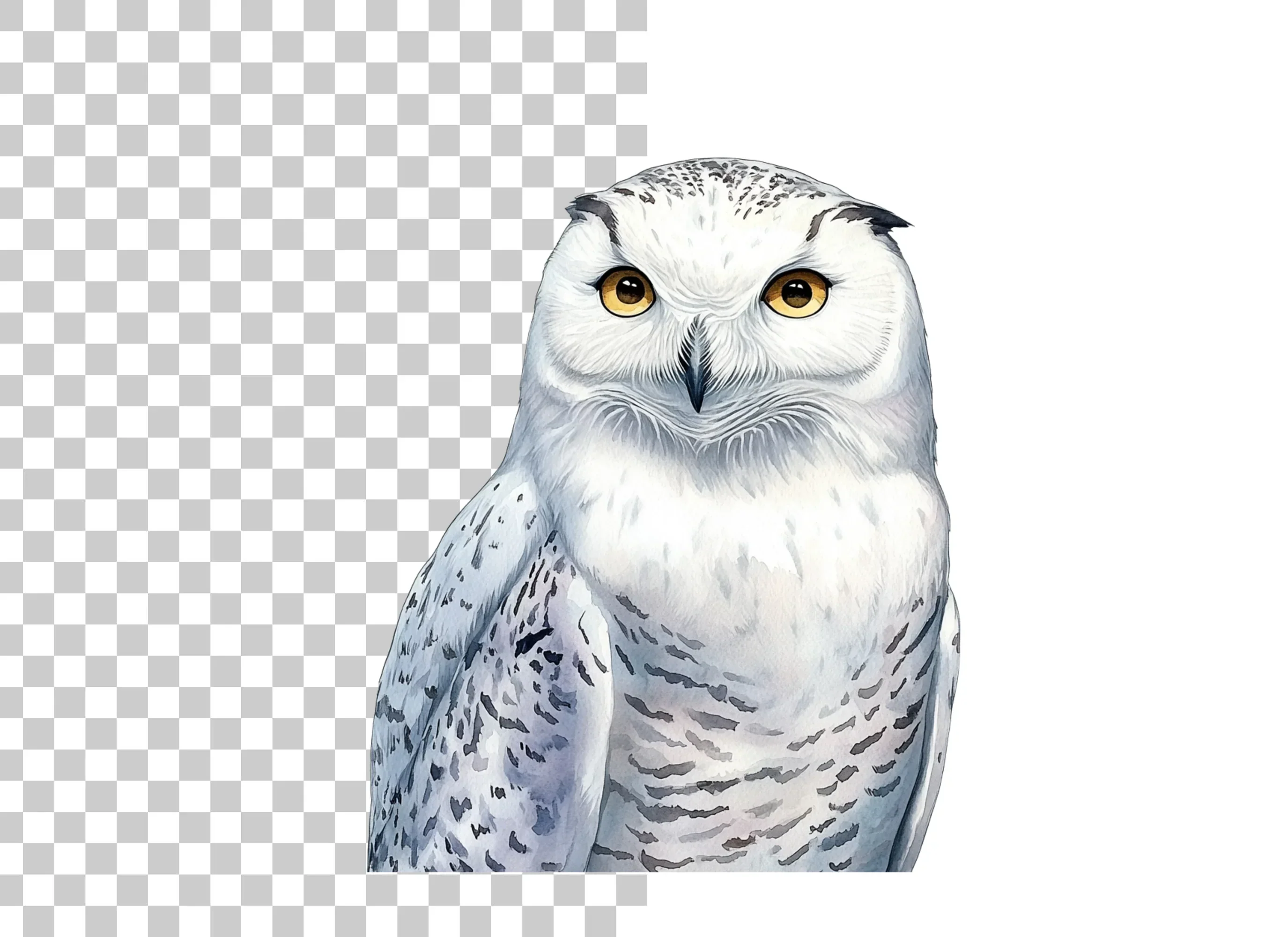 Majestic Snowy Owl Illustration Clipart Bundle - Image 2