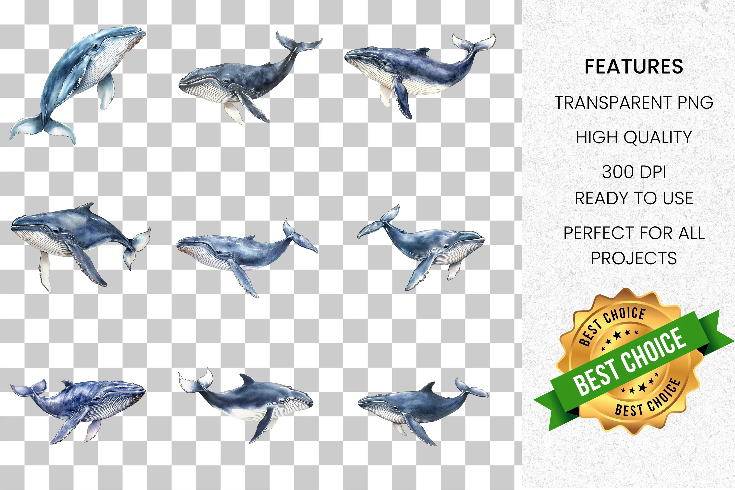 Majestic Whale Clipart Bundle - Image 2