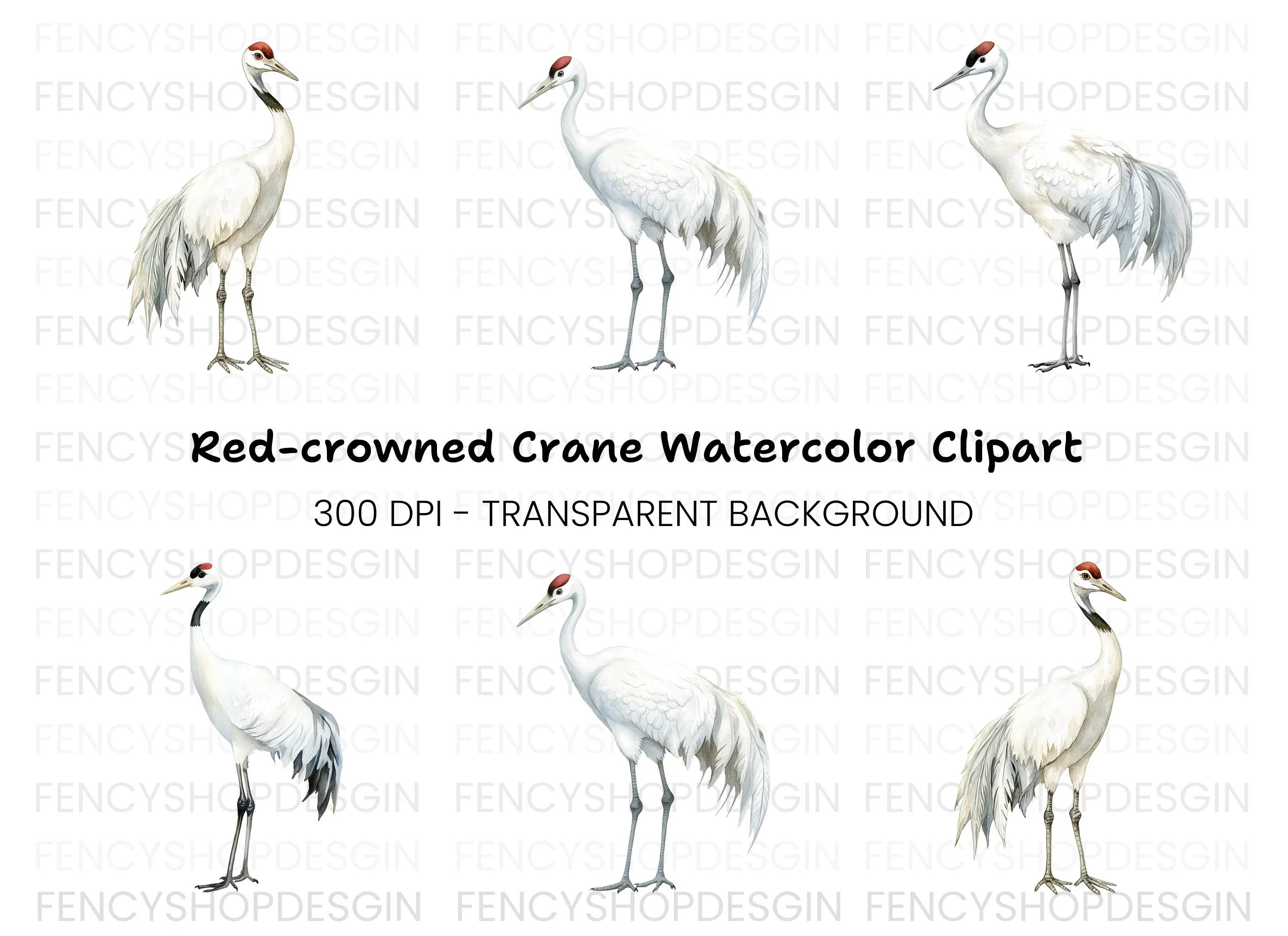 Majestic White Crane Clipart Bundle